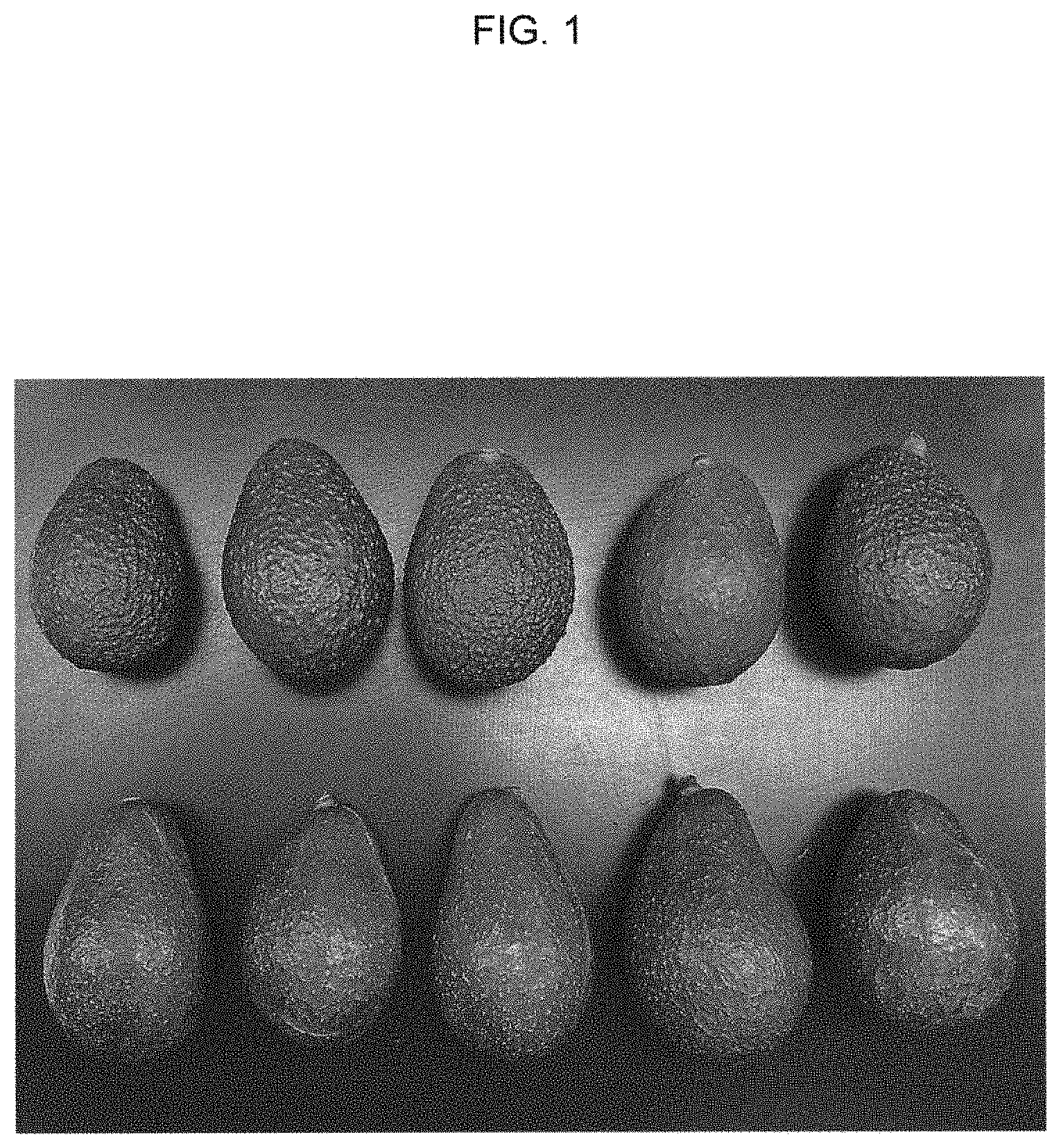 Patent USPP035444 Figure 1 – Avocado tree named ‘BL516’