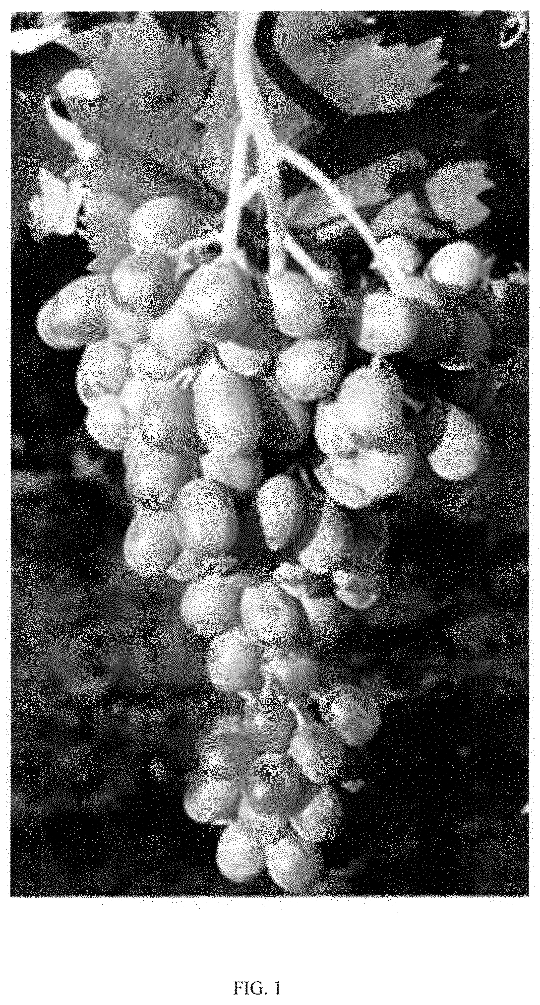 Patent USPP035469 — Seedless table grape (grapevine) named ‘Itumseven’ — Figure 1