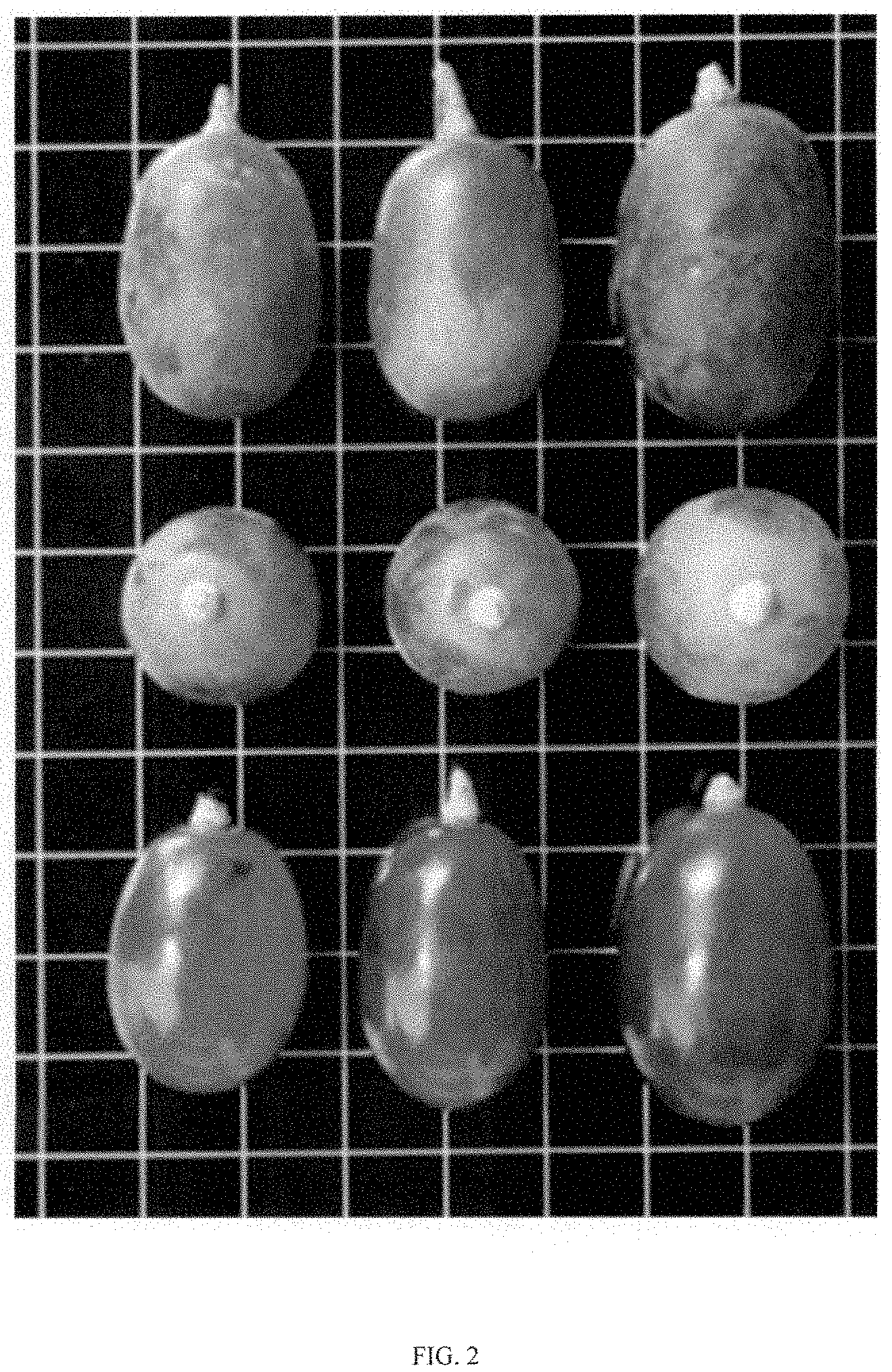 Patent USPP035469 Figure 2 – Seedless table grape (grapevine) named ‘Itumseven’