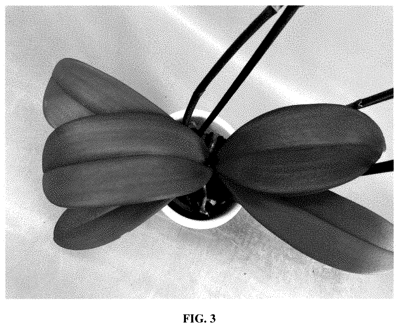 Patent USPP035476 Figure 3 – Phalaenopsis orchid plant named ‘PHA632612’