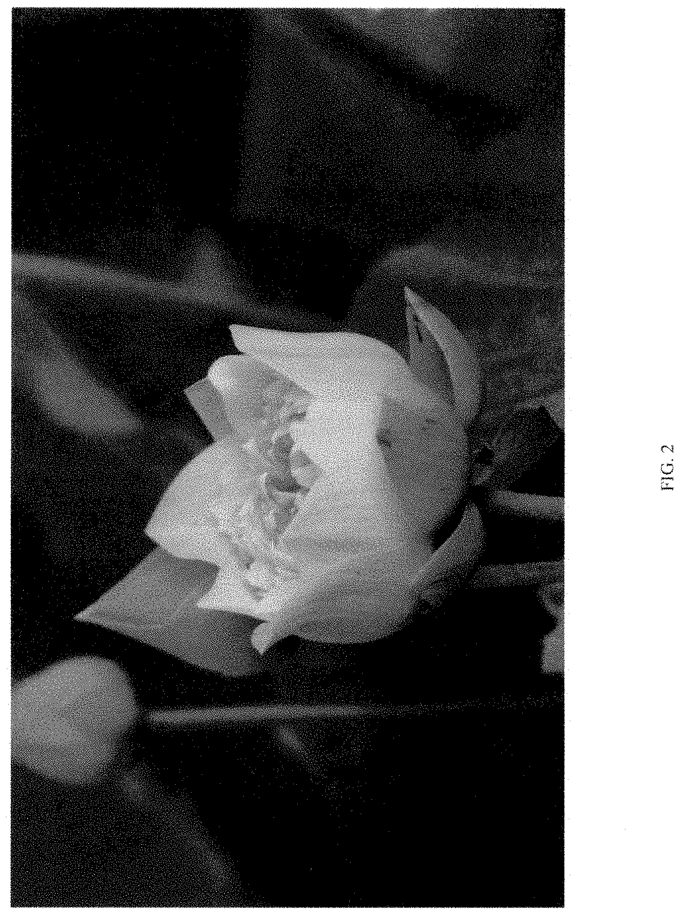 Patent USPP035477 Figure 2 – Nelumbo plant named ‘QINHUAI CHENWU’