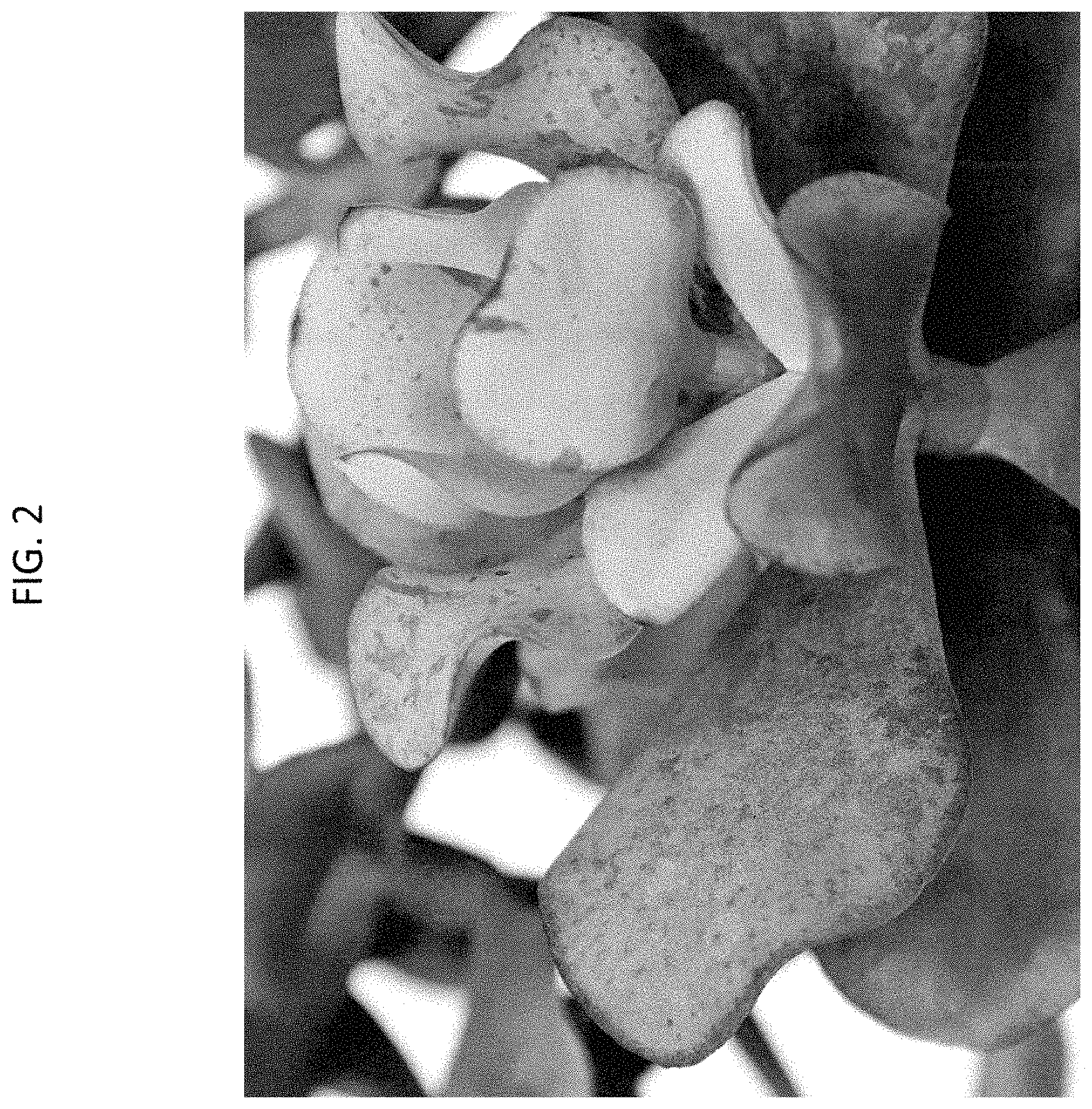 Patent USPP035478 Figure 2 – Crassula plant named ‘OVWOODS05’
