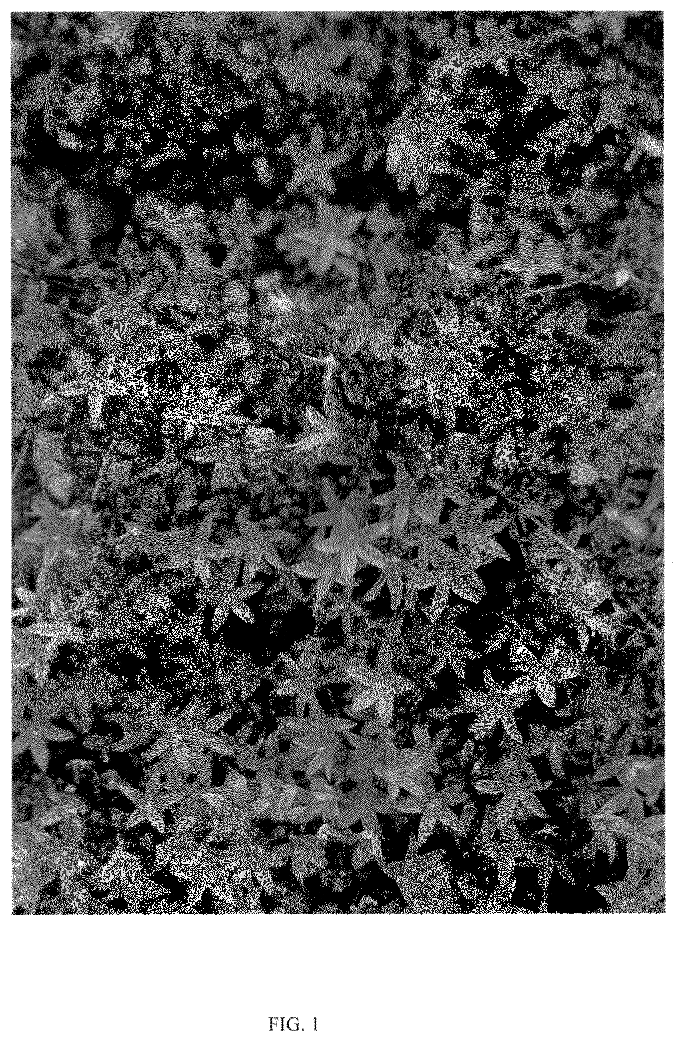 Patent USPP035481 — Campanula plant named ‘Purple Fountain’ — Figure 1