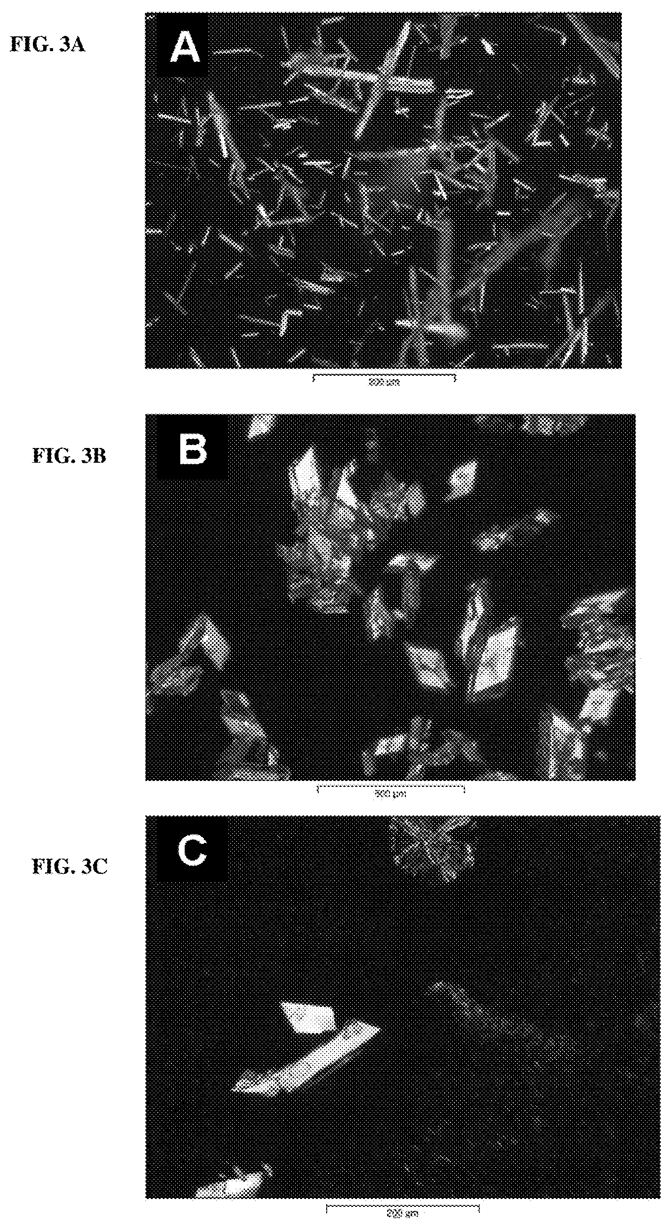 Patent USRE049697 Figure 3 – Crystalline N-[5-(aminosulfonyl)-4-methyl-1,3-thiazol-2-yl]-N-methyl-2-[4-(2-pyridinyl)phenyl]acetamide mono mesylate monohydrate having a specific particle size distribution range and a specific surface area range for use in pharmaceutical formulations