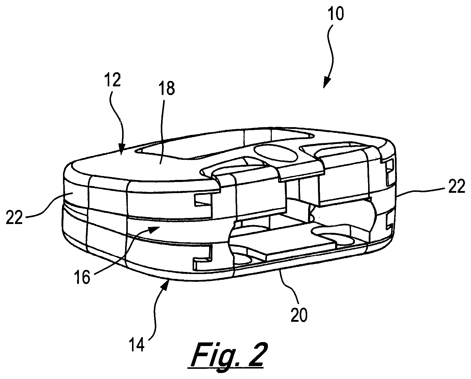 Patent US12090063 Figure 2 – Intervertebral implants