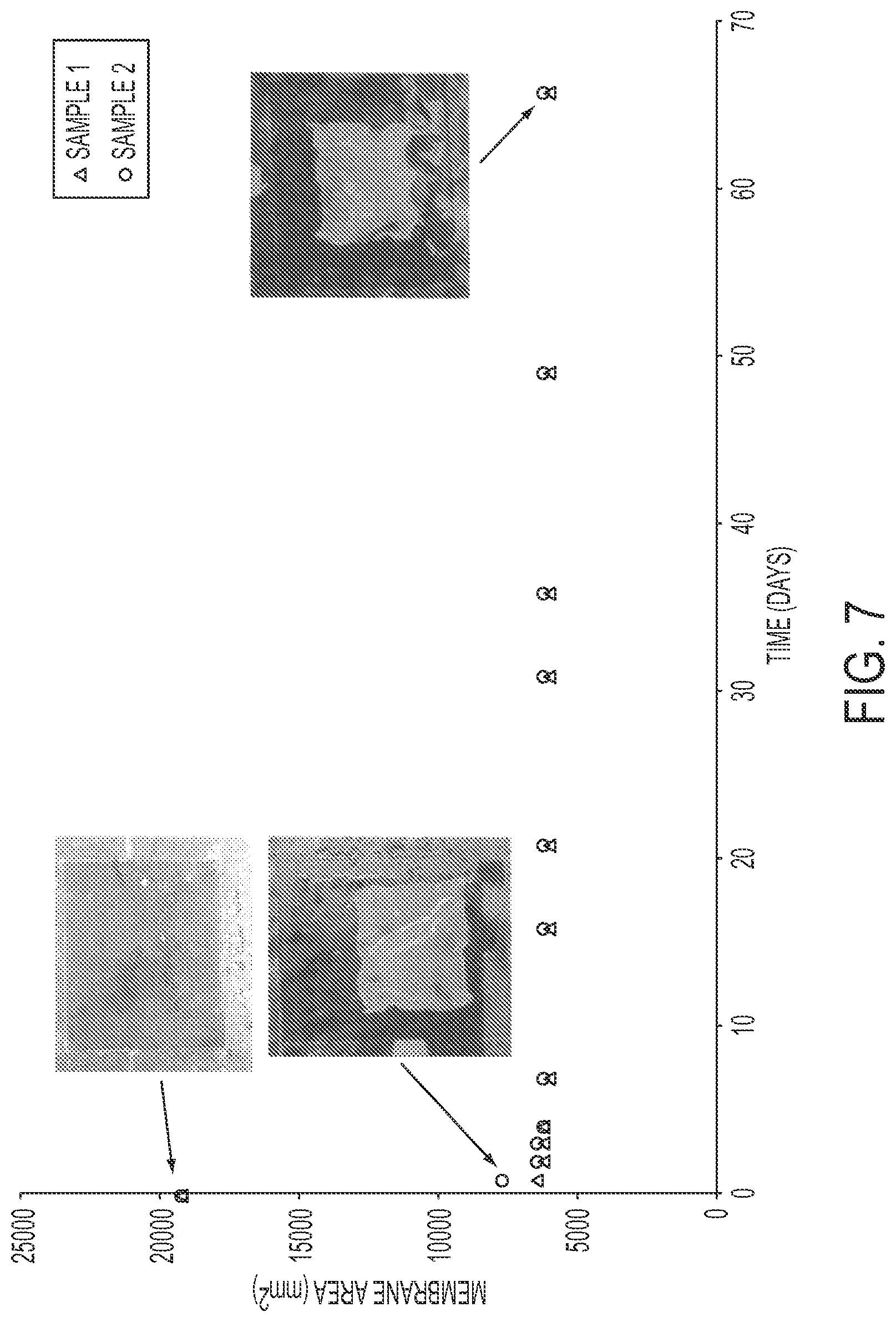 Patent US12090071 Figure 16 – Vascular prosthetic assemblies