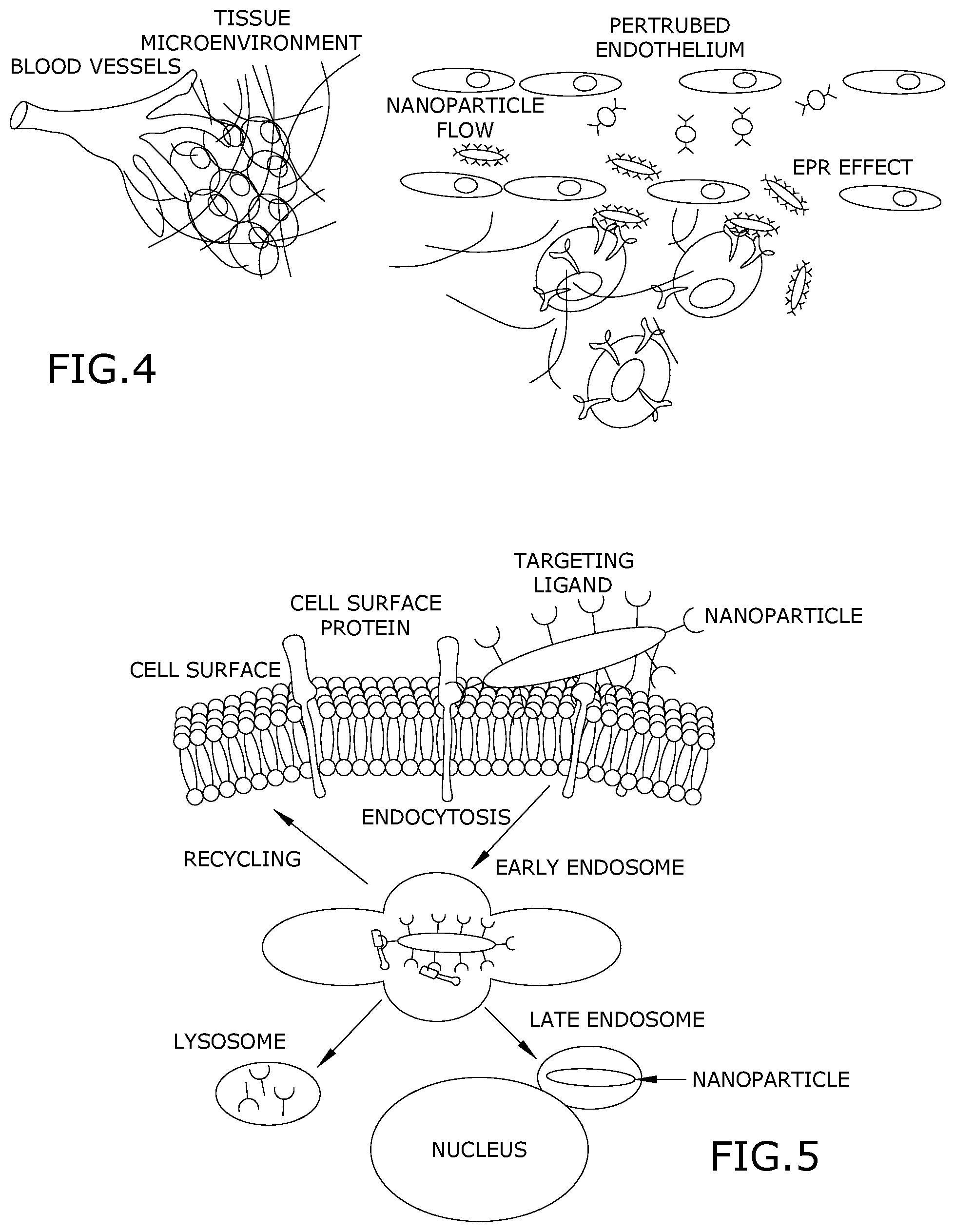 Patent US12090117 Figure 2 – Method of administering nanoparticles through feet