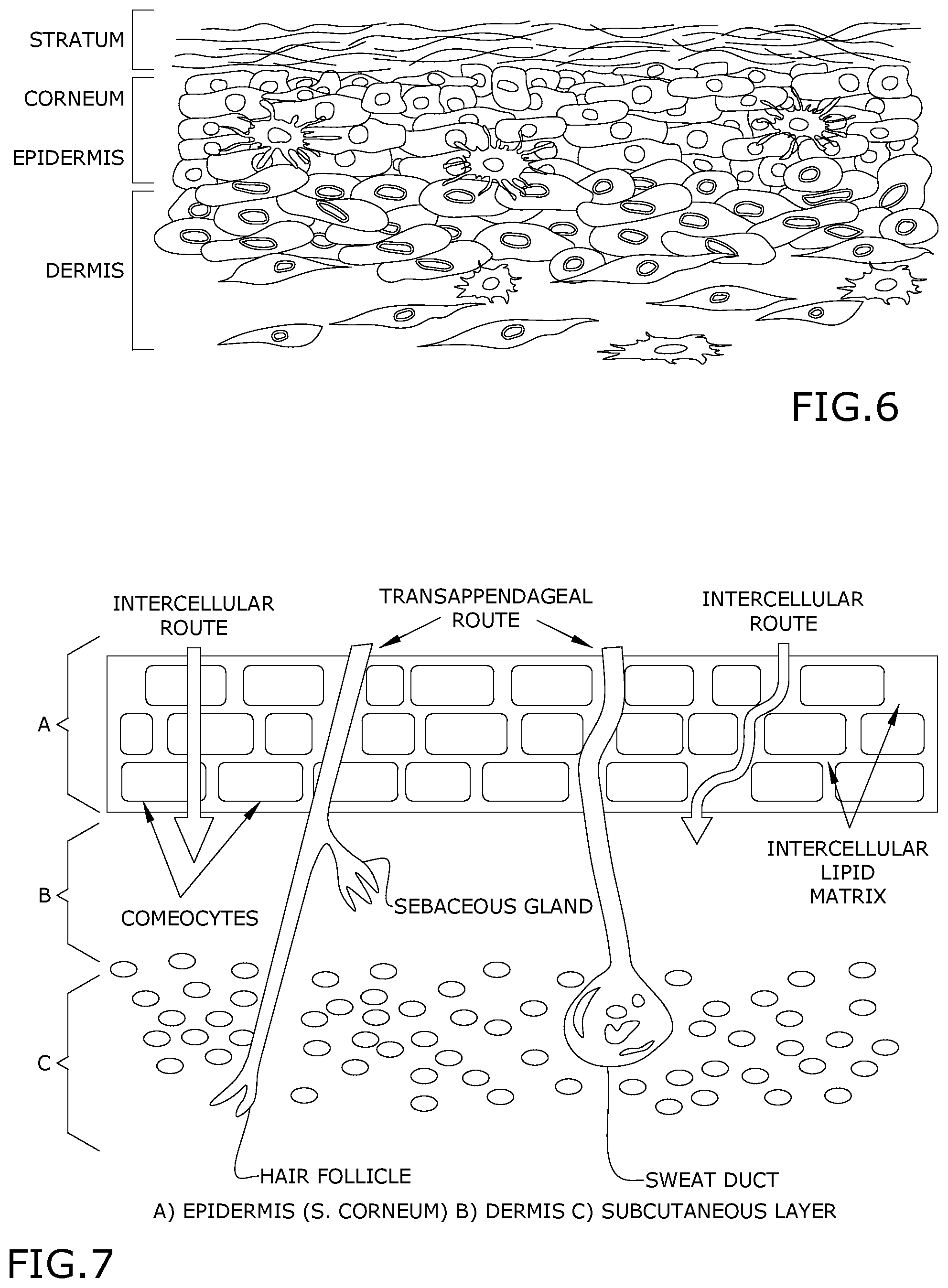 Patent US12090117 Figure 3 – Method of administering nanoparticles through feet
