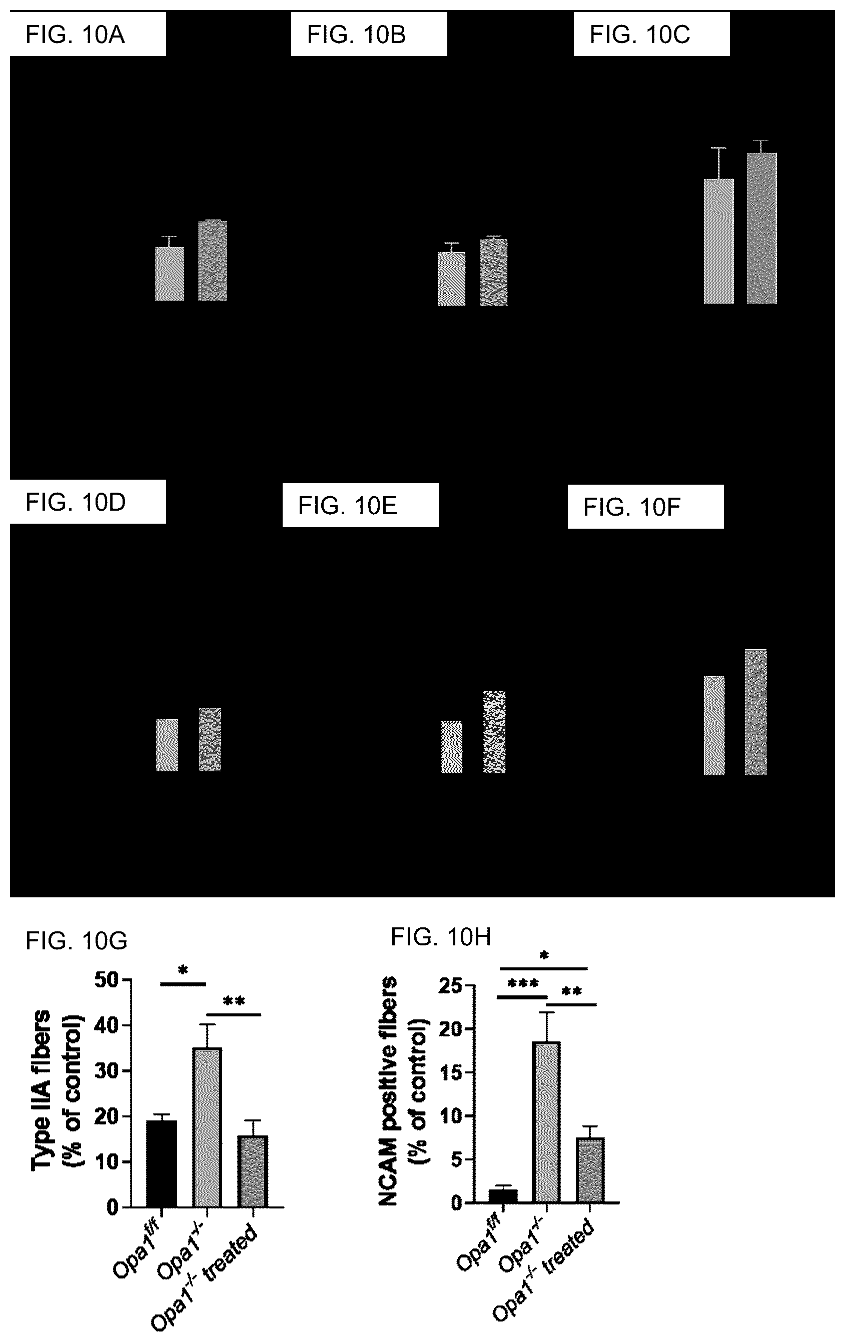 Patent US12090124 Figure 12 – Pharmaceutical combination for use in age- related and/or degenerative diseases