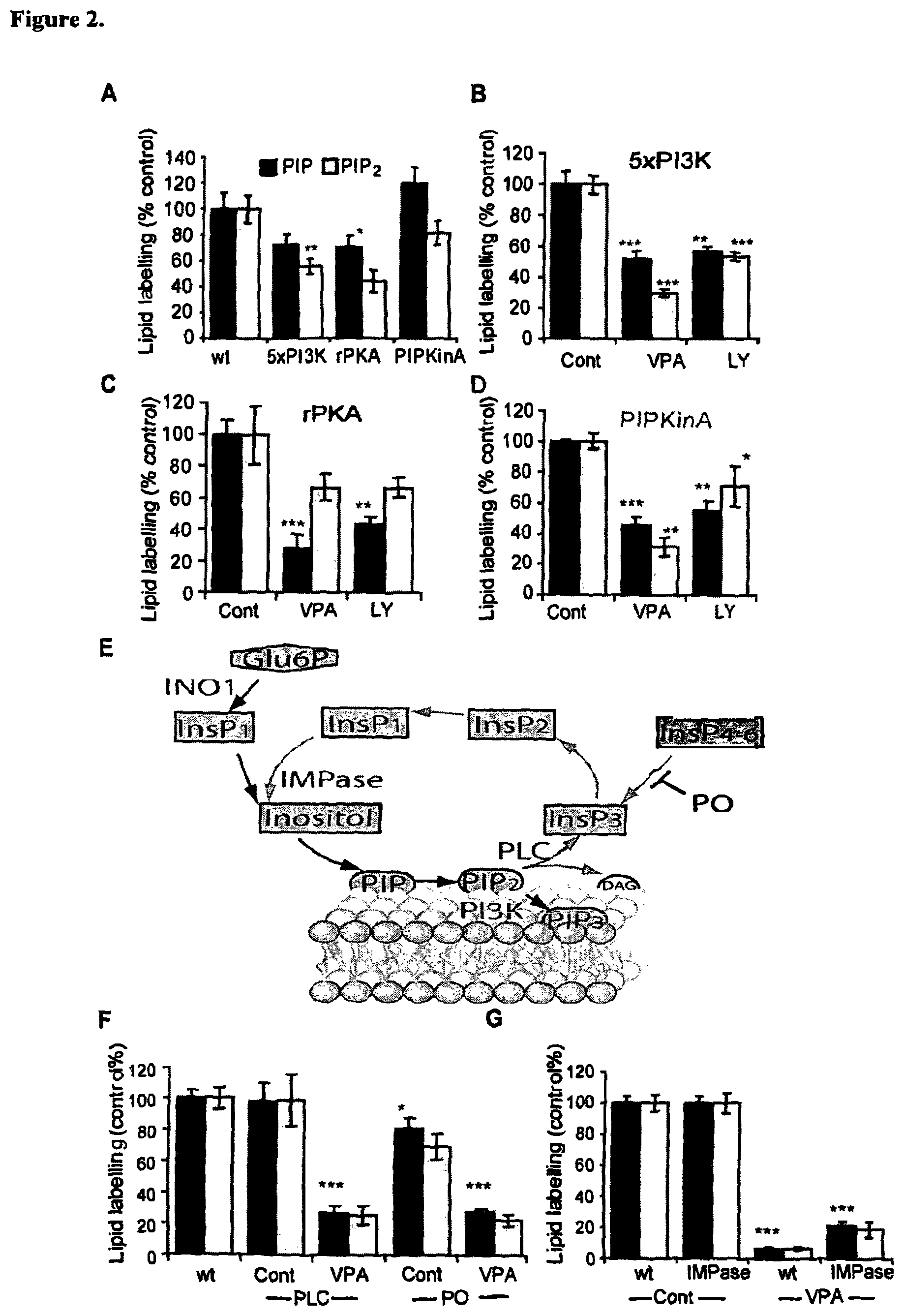 Patent US12090131 Figure 2 – Therapeutic use of compounds