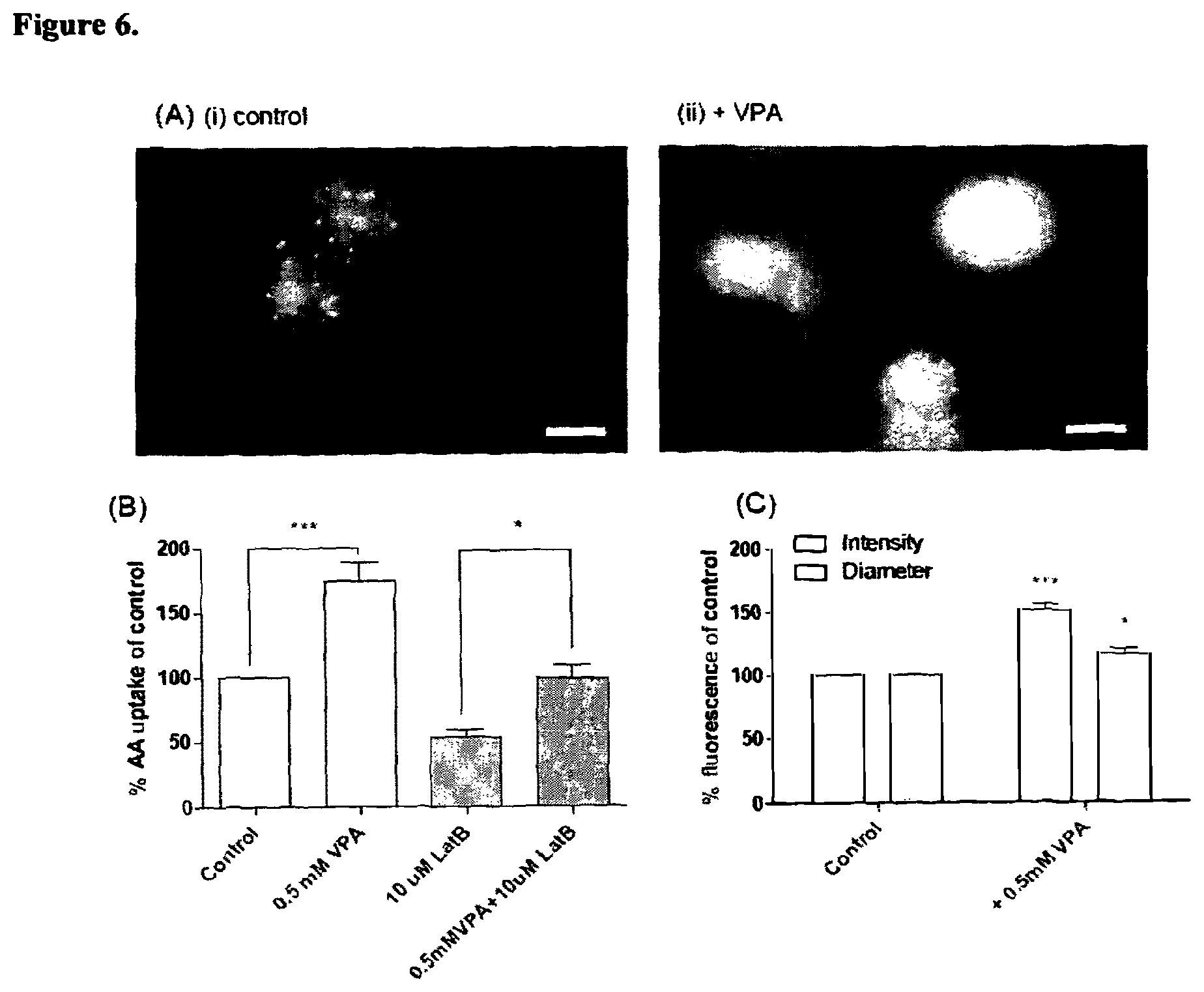 Patent US12090131 Figure 5 – Therapeutic use of compounds