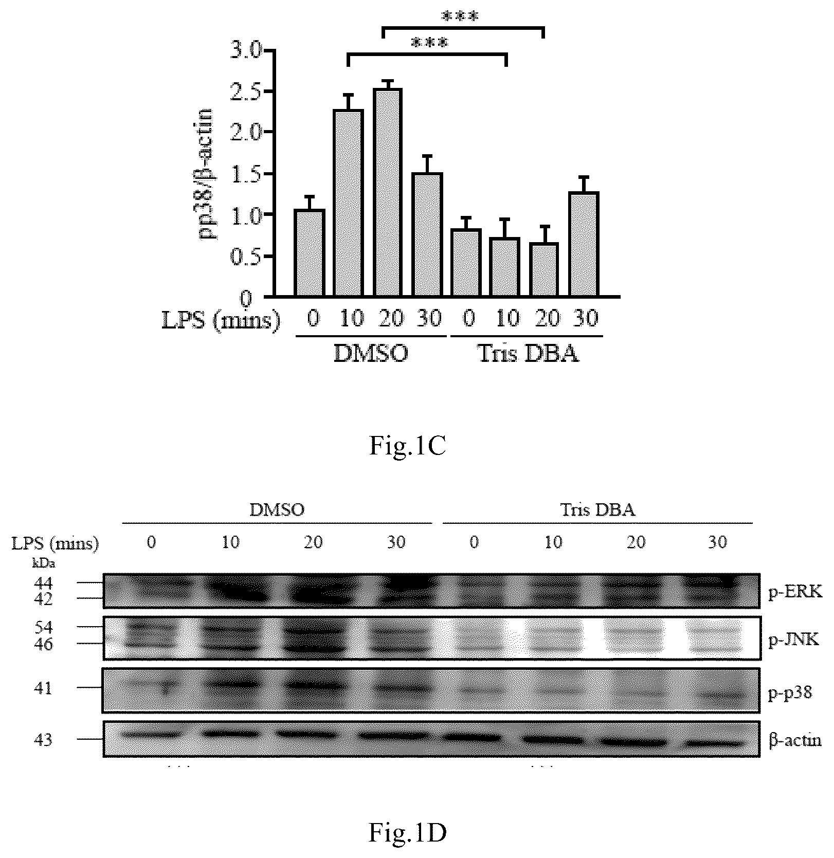 Patent US12090132 Figure 2 – Tris DBA pharmaceutical composition and its use for treating autoimmune diseases