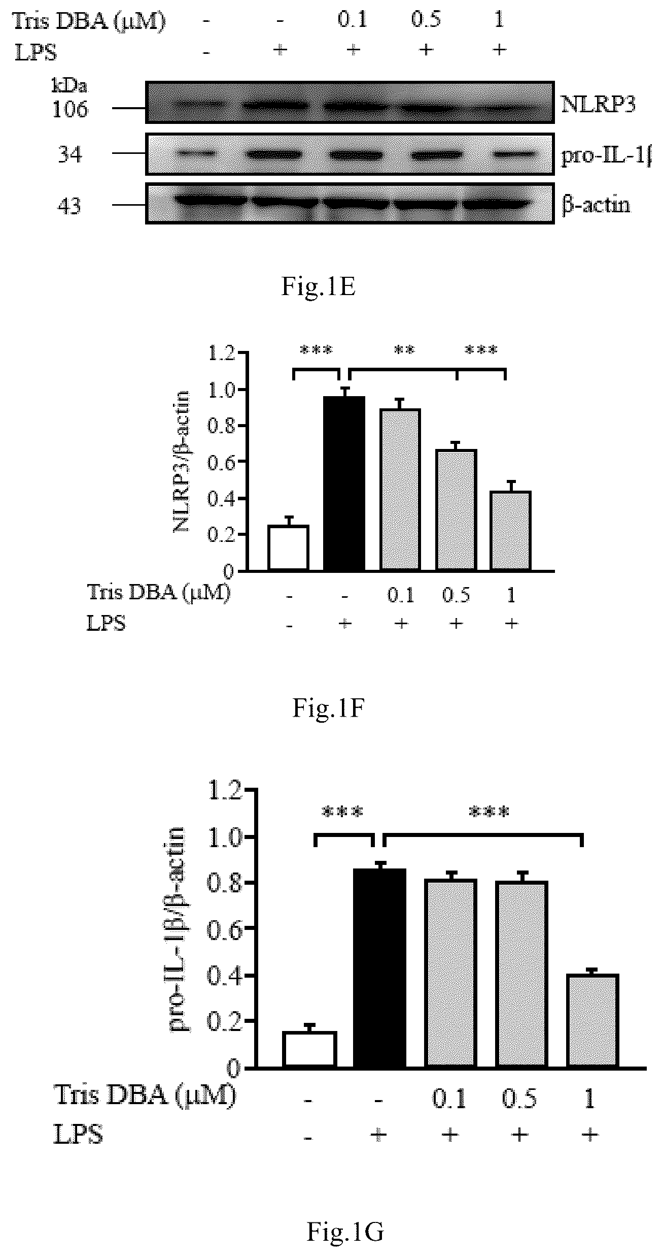 Patent US12090132 Figure 3 – Tris DBA pharmaceutical composition and its use for treating autoimmune diseases