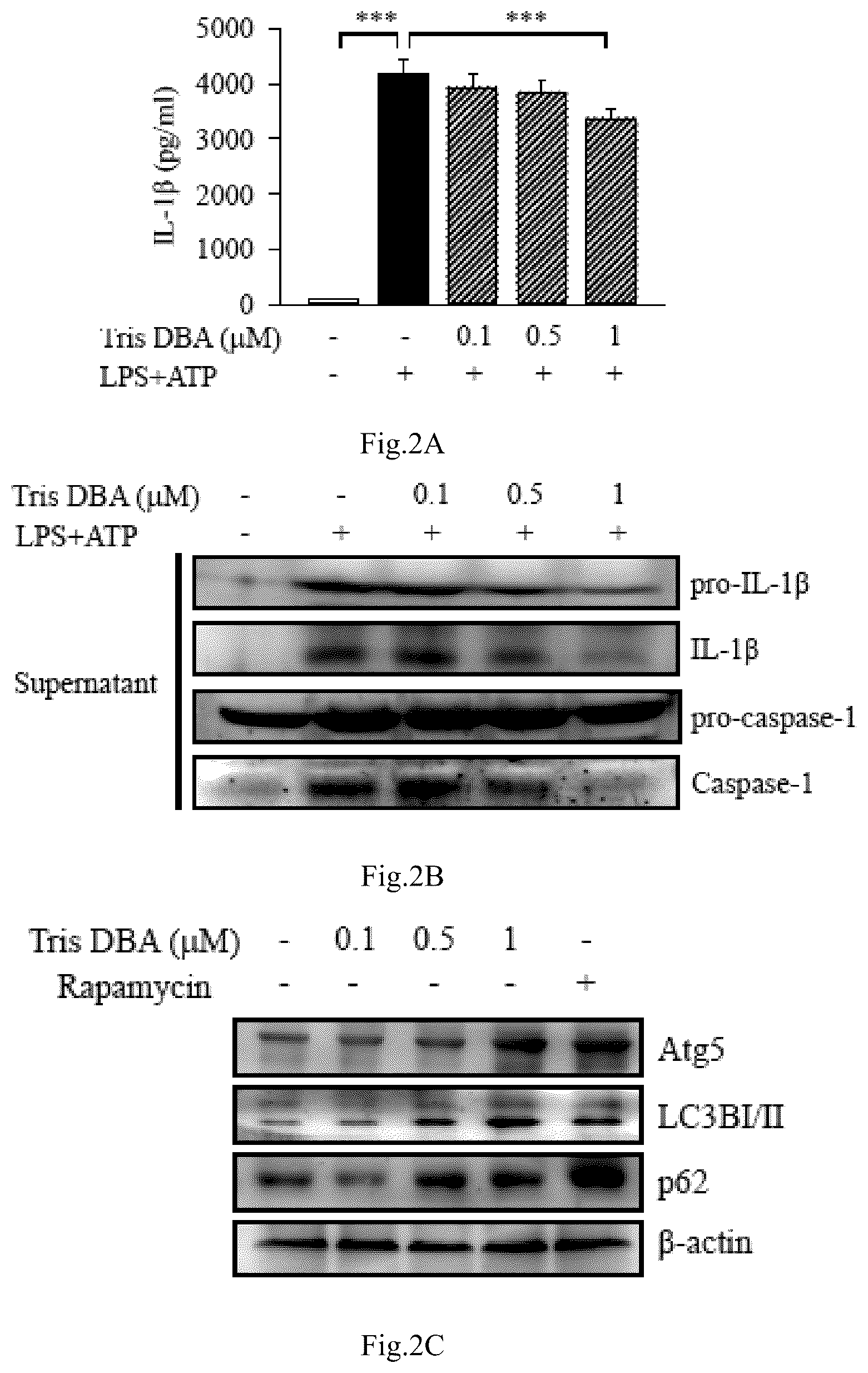 Patent US12090132 Figure 5 – Tris DBA pharmaceutical composition and its use for treating autoimmune diseases