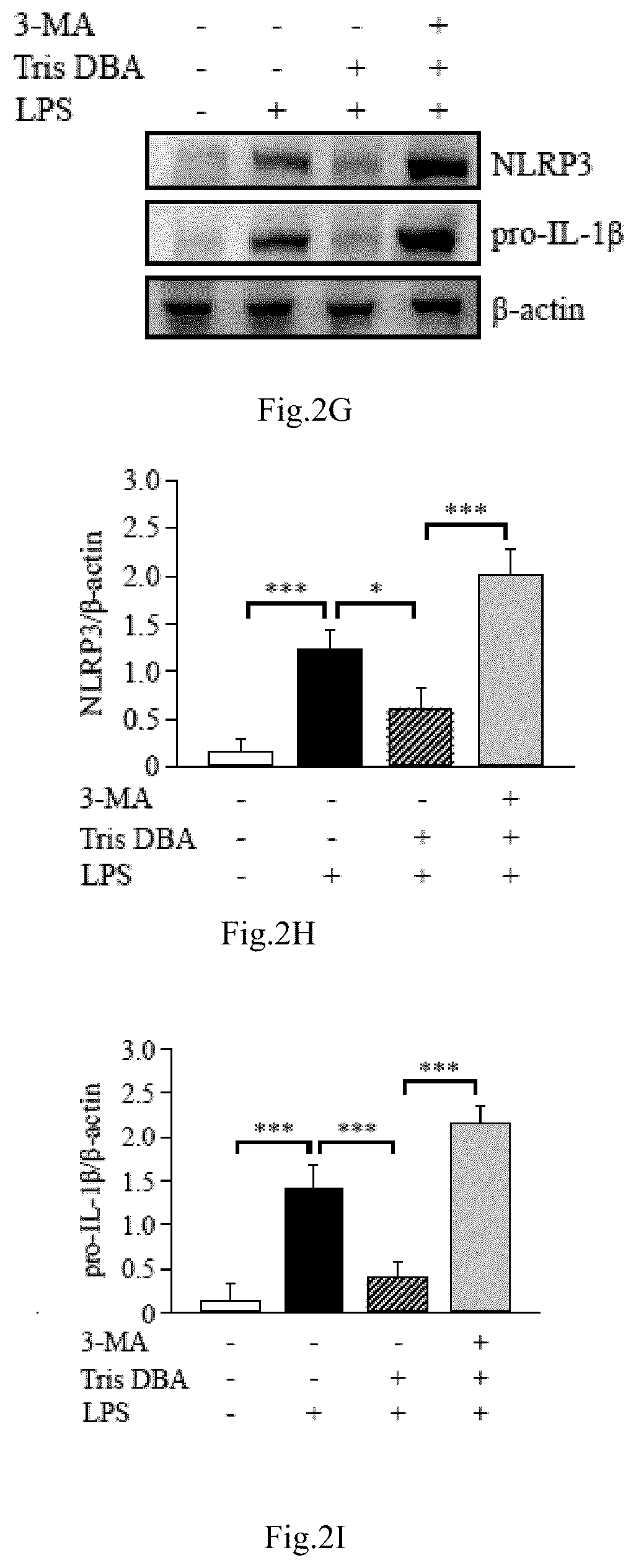 Patent US12090132 Figure 7 – Tris DBA pharmaceutical composition and its use for treating autoimmune diseases