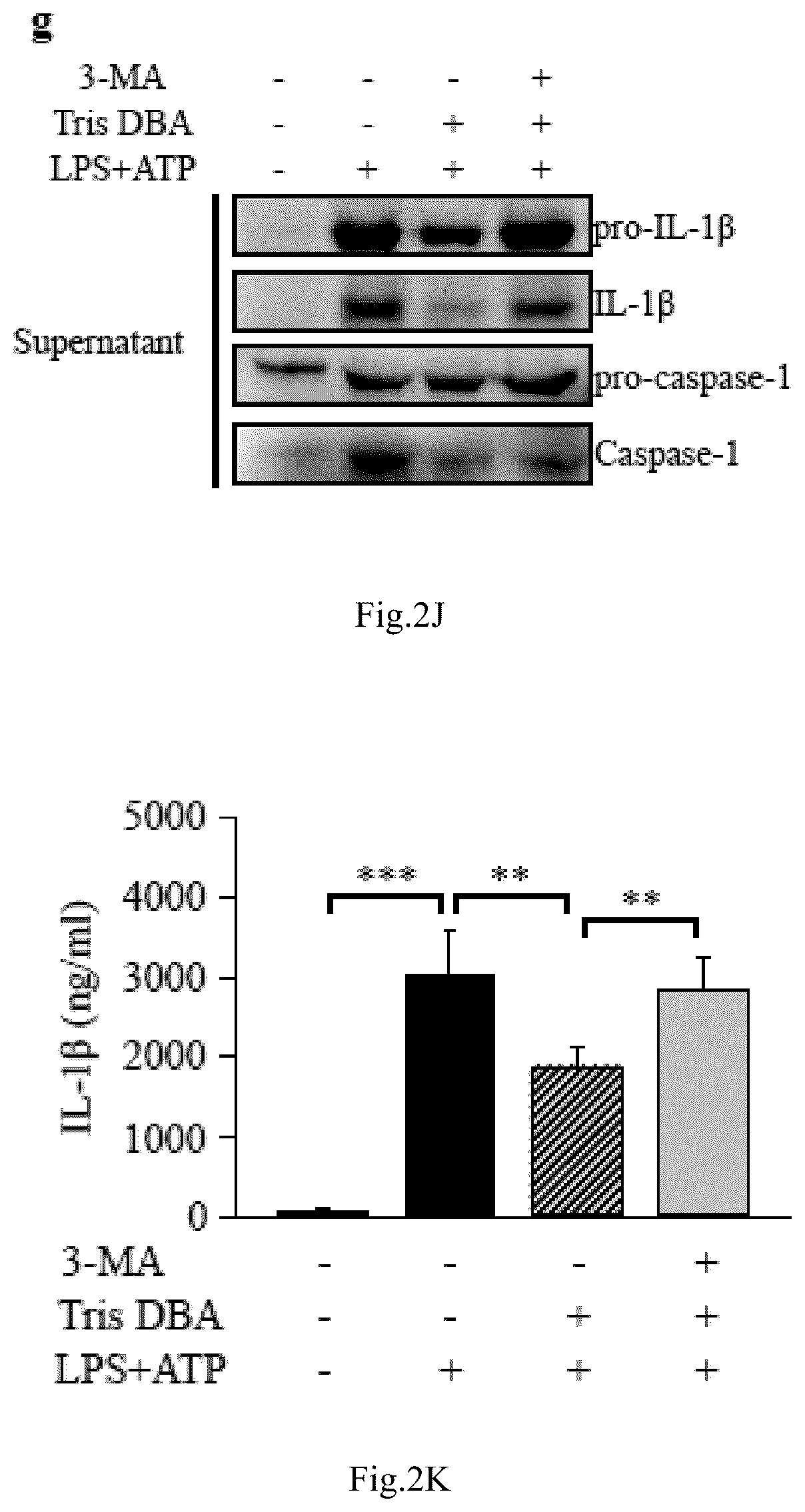 Patent US12090132 Figure 8 – Tris DBA pharmaceutical composition and its use for treating autoimmune diseases