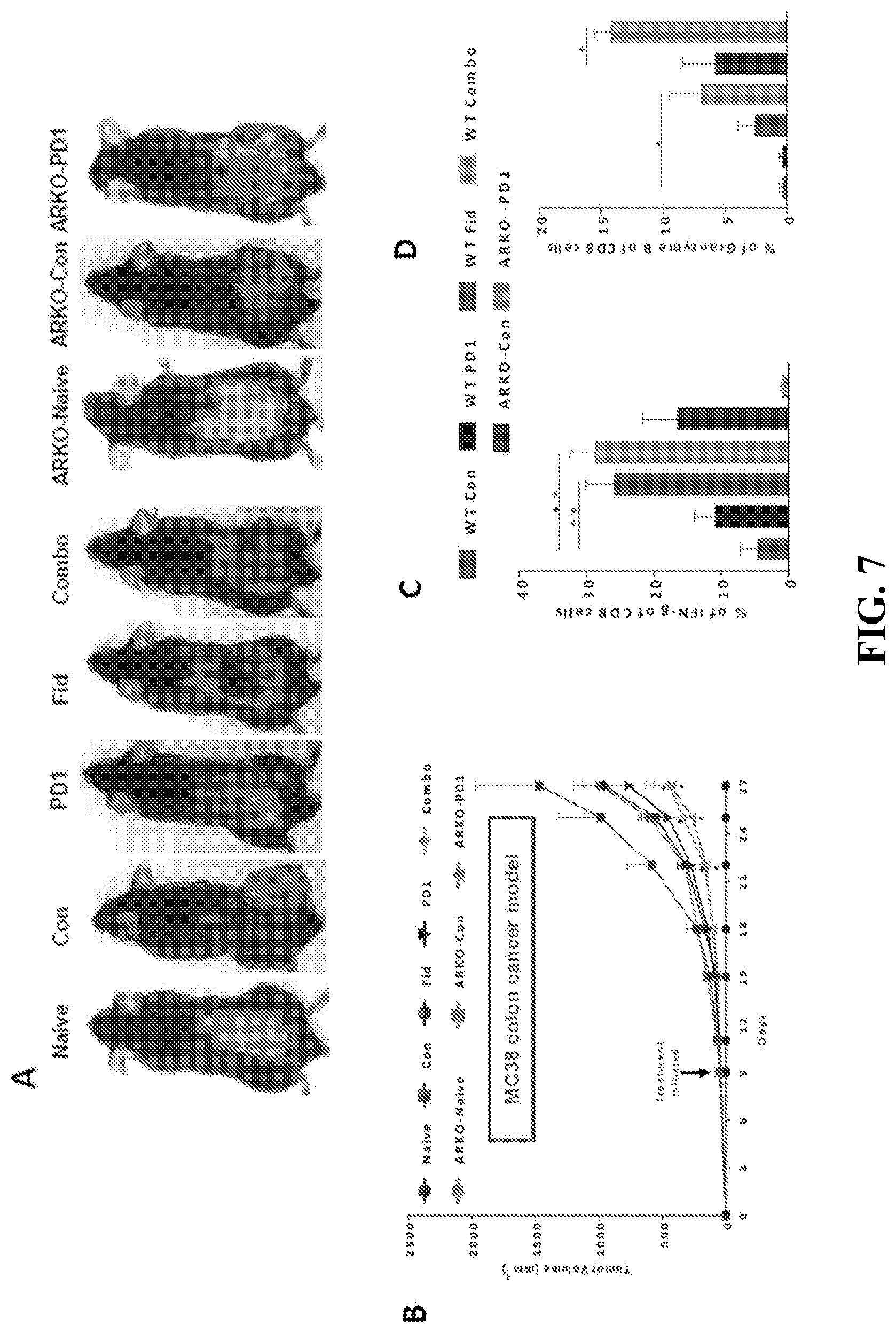 Patent US12090142 Figure 7 – Combination therapy for the treatment of cancer