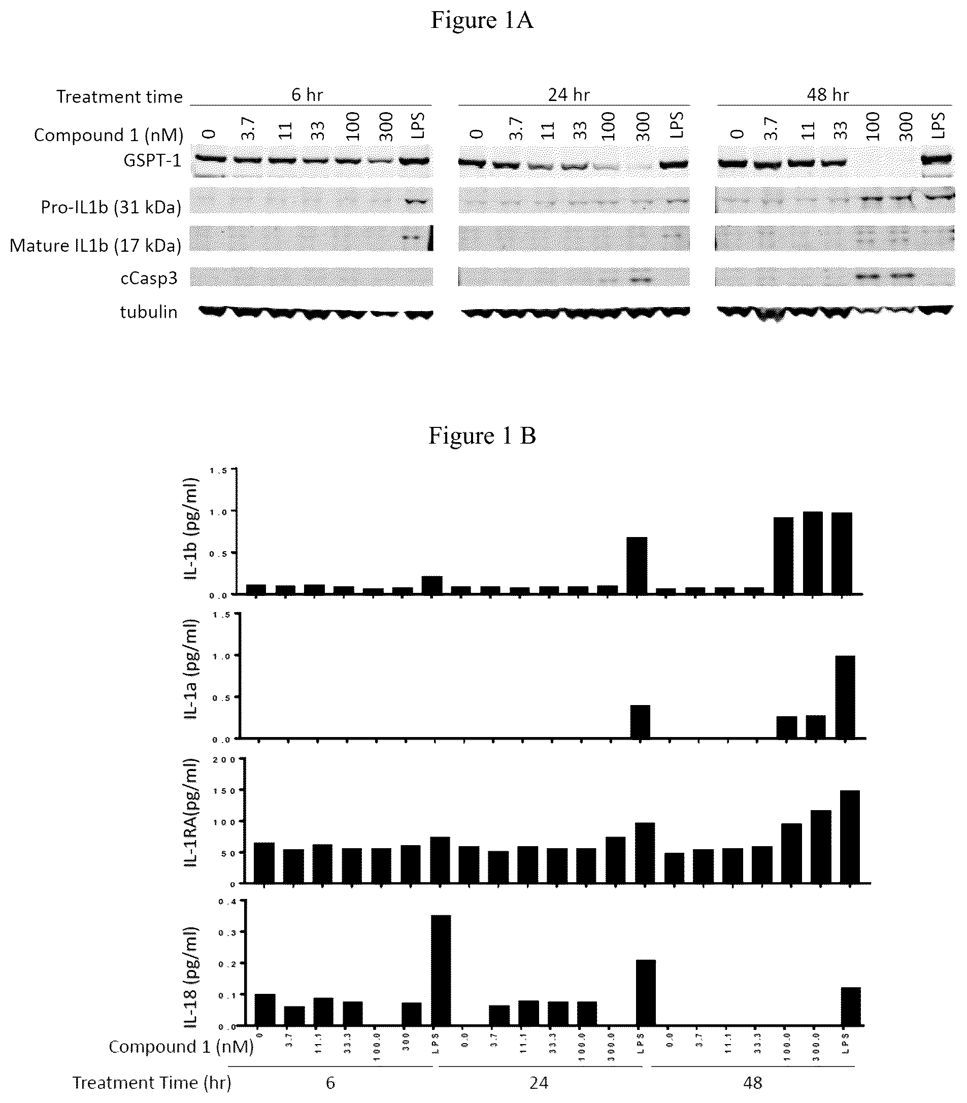 Patent US12090147 Figure 1 – Combination therapy with 2-(4-chlorophenyl)-N-((2-(2,6-dioxopiperidin-3-yl)-1-oxoisoindolin-5-yl)methyl)-2,2-difluoroacetamide