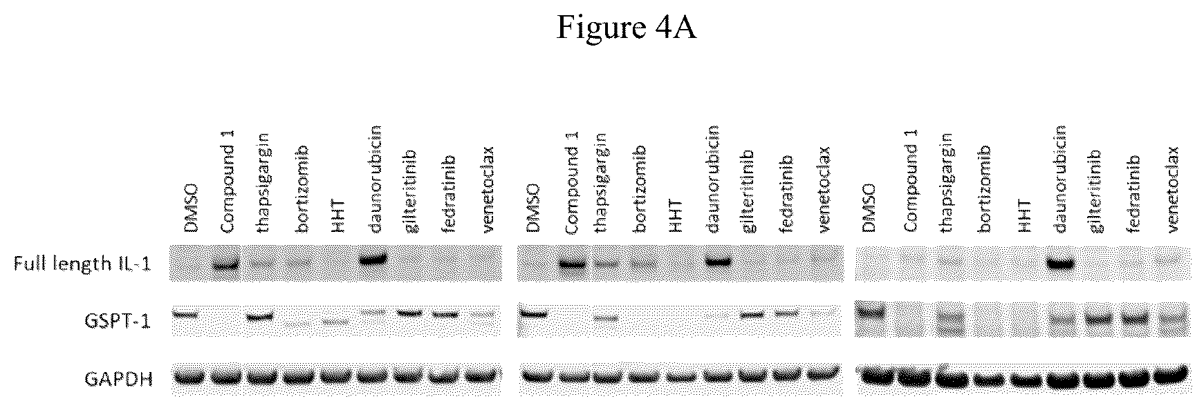 Patent US12090147 Figure 8 – Combination therapy with 2-(4-chlorophenyl)-N-((2-(2,6-dioxopiperidin-3-yl)-1-oxoisoindolin-5-yl)methyl)-2,2-difluoroacetamide