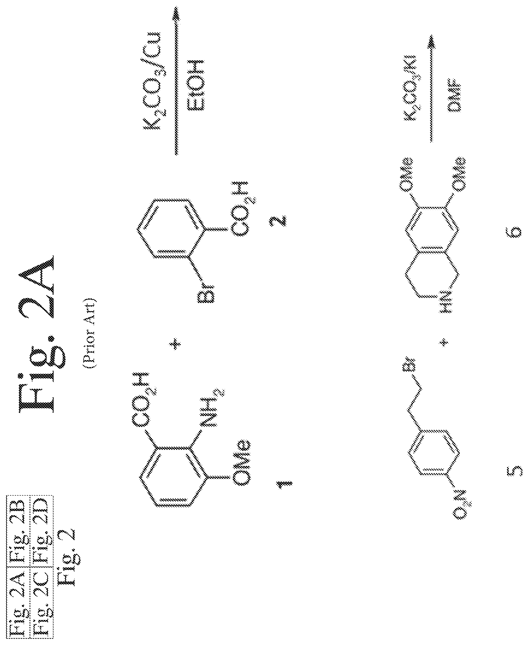 Patent US12090150 Figure 2 – Deuterated analogs of elacridar
