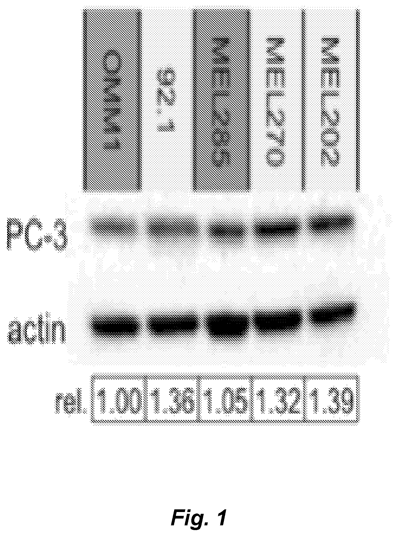 Patent US12090153 Figure 1 – Combination therapy for the treatment of uveal melanoma