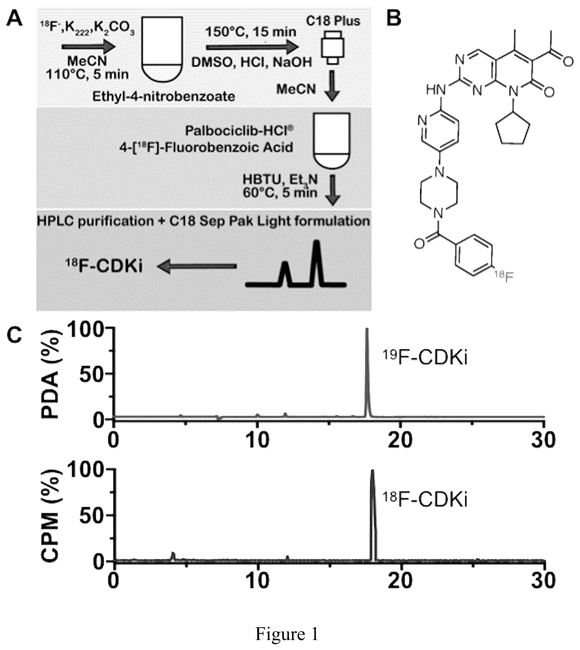 Patent US12090157 — Non-invasive pet imaging of CDK4/6 activation in cancer — Figure 1