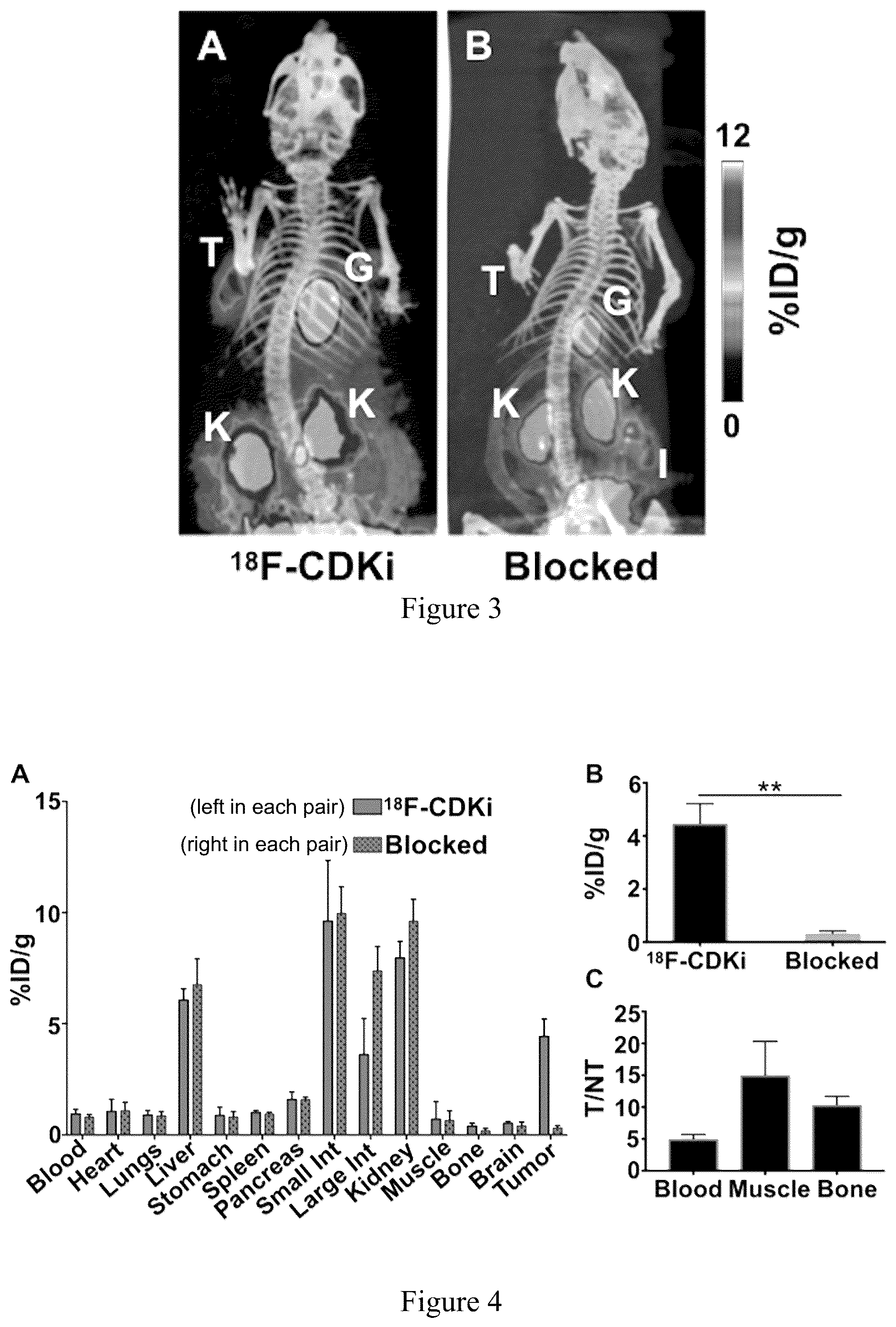 Patent US12090157 Figure 3 – Non-invasive pet imaging of CDK4/6 activation in cancer