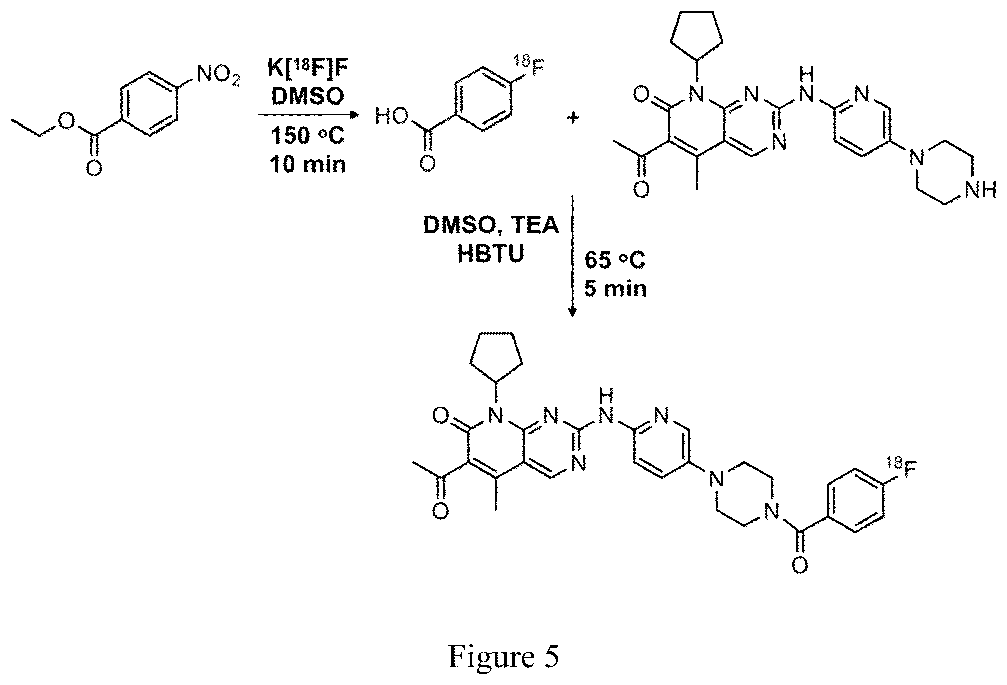 Patent US12090157 Figure 4 – Non-invasive pet imaging of CDK4/6 activation in cancer