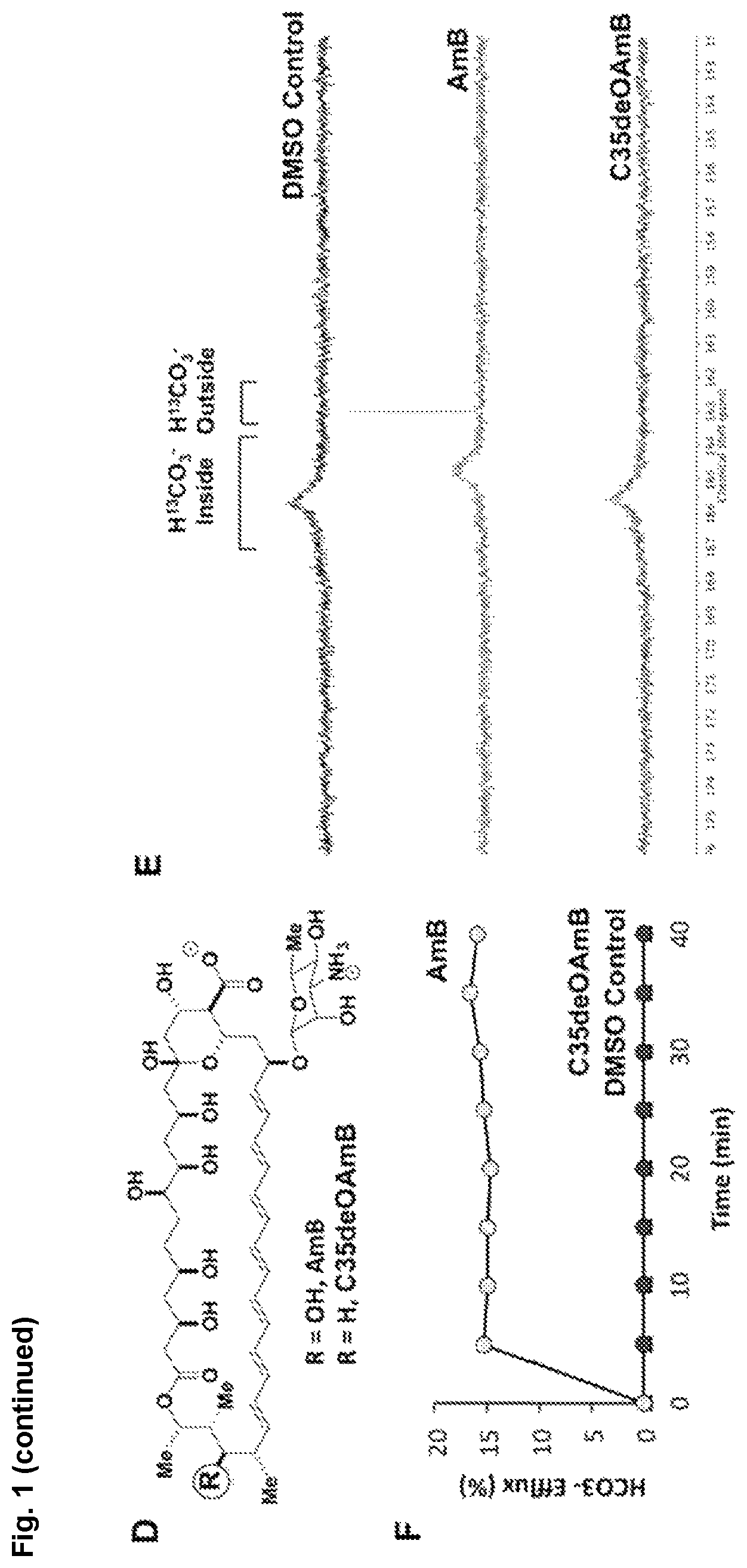 Patent US12090164 Figure 2 – Genotype-agnostic rescue of cystic fibrosis with small molecule bicarbonate channels