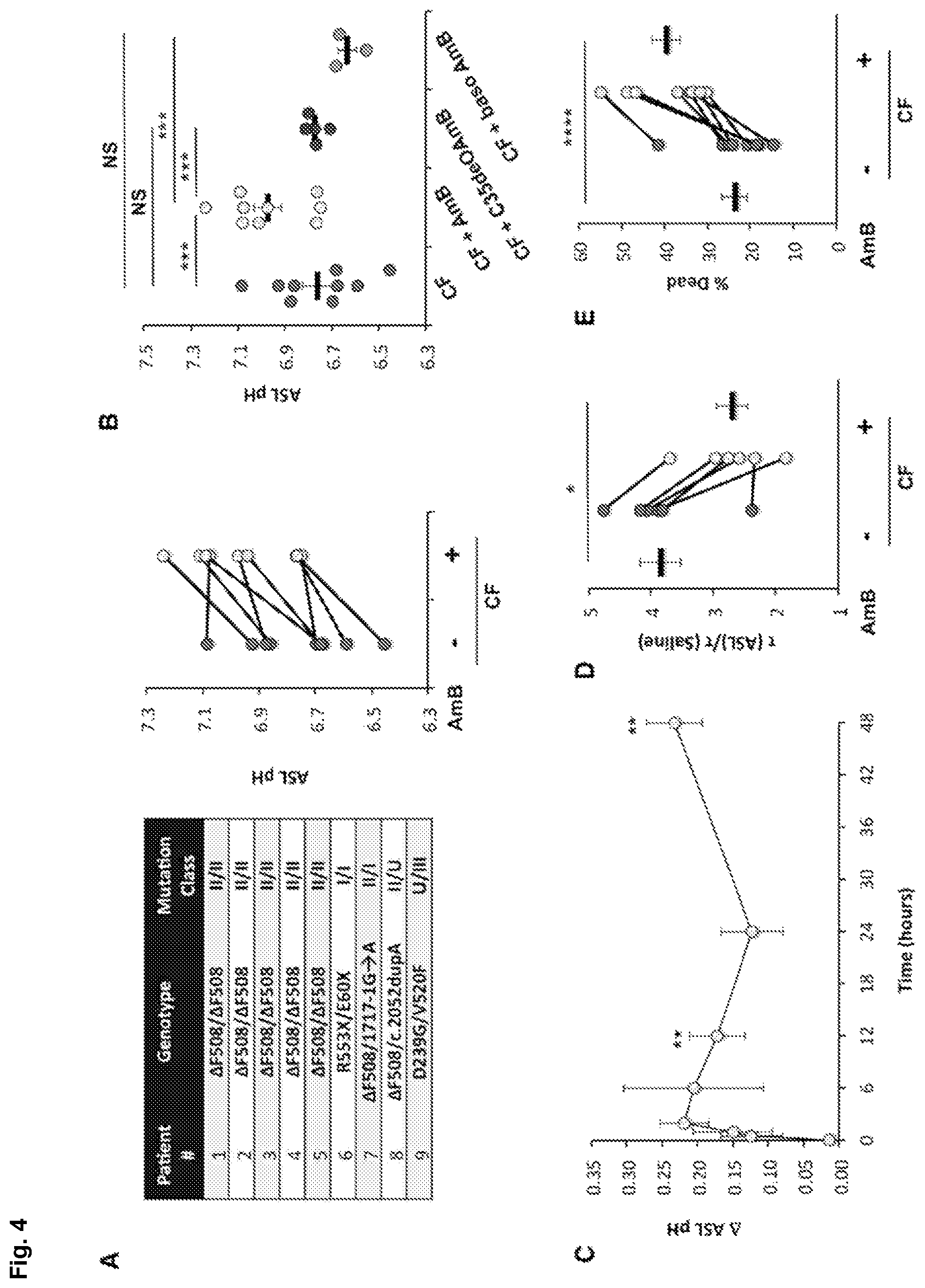 Patent US12090164 Figure 5 – Genotype-agnostic rescue of cystic fibrosis with small molecule bicarbonate channels