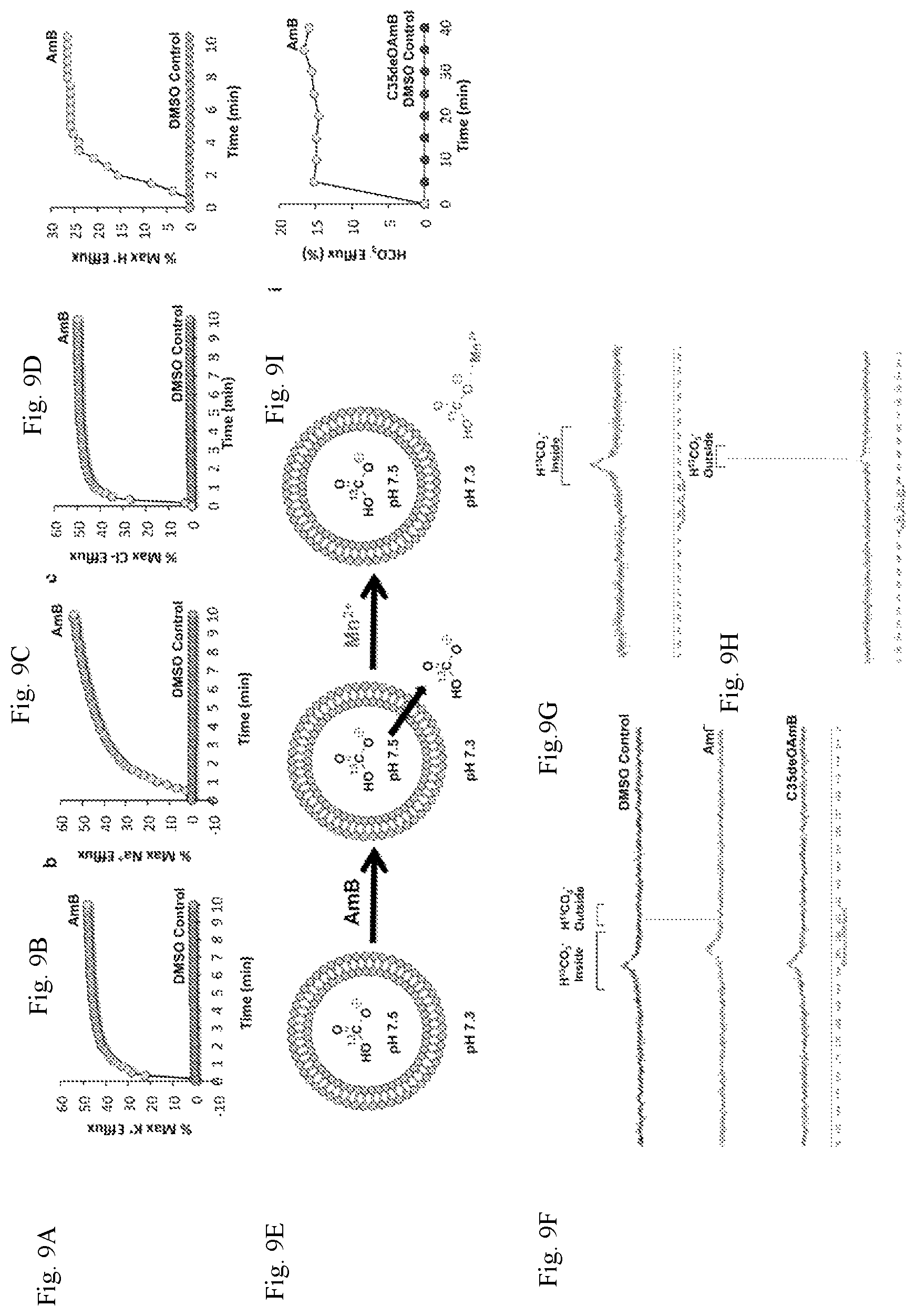 Patent US12090164 Figure 10 – Genotype-agnostic rescue of cystic fibrosis with small molecule bicarbonate channels