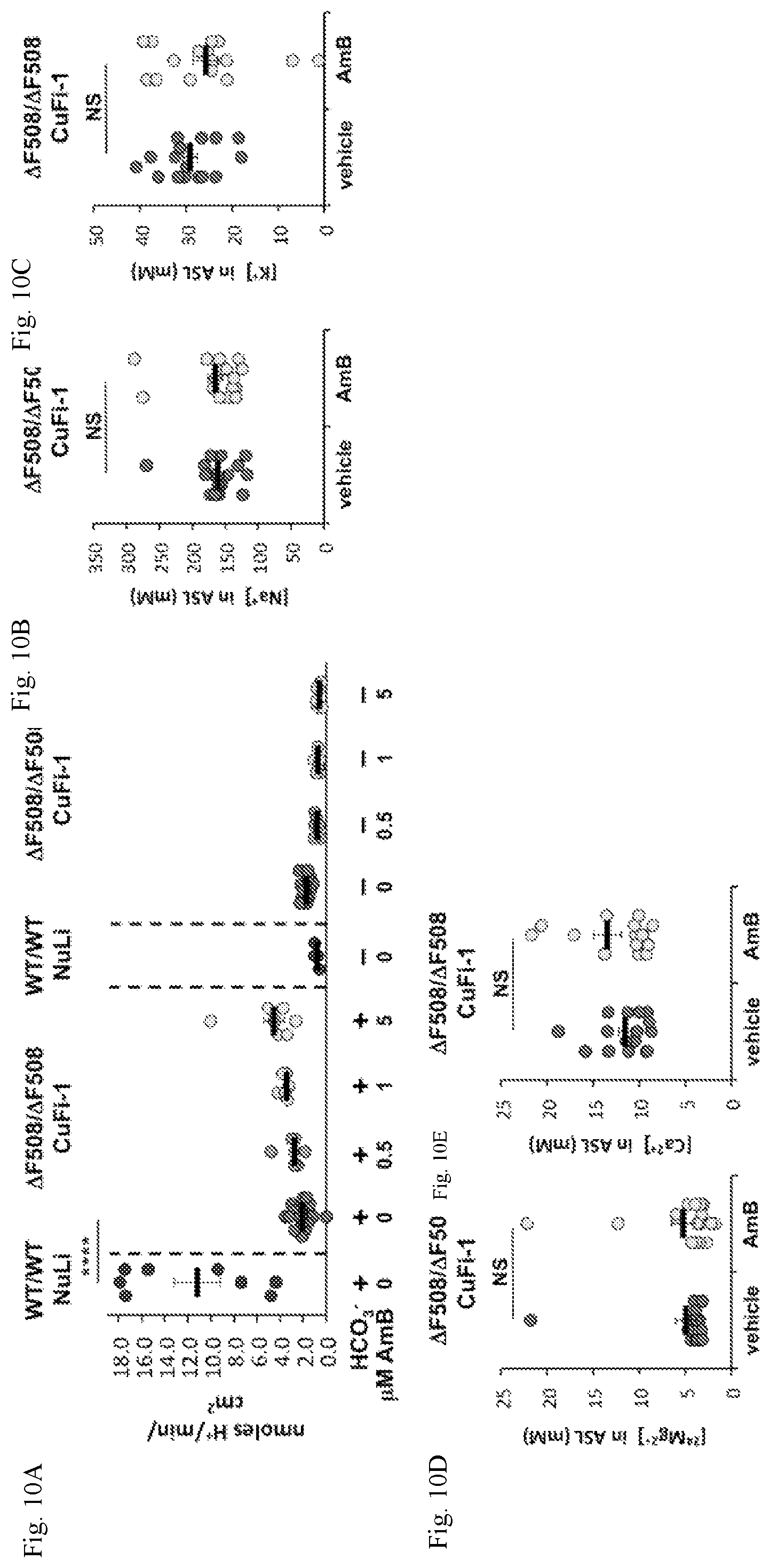 Patent US12090164 Figure 11 – Genotype-agnostic rescue of cystic fibrosis with small molecule bicarbonate channels