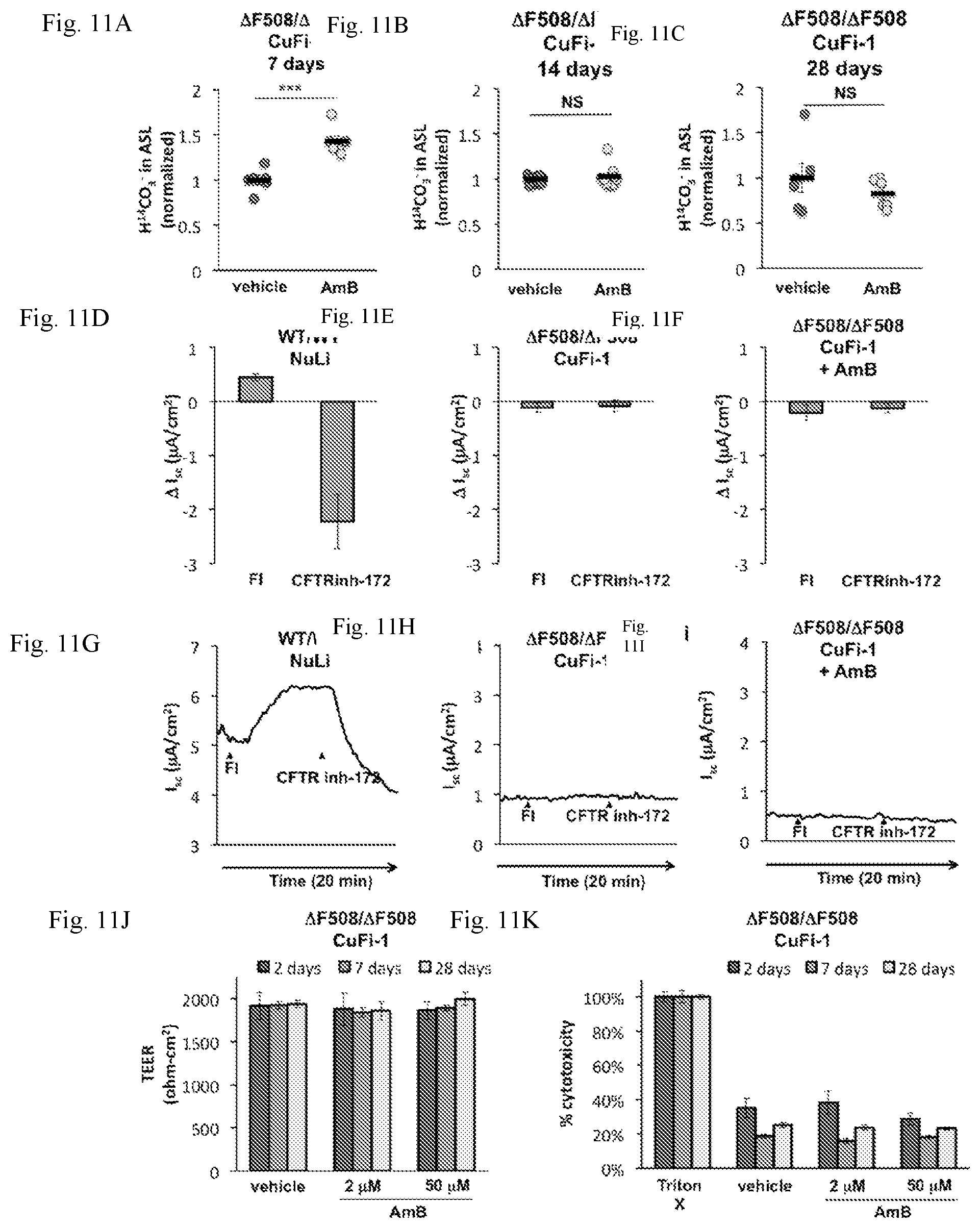 Patent US12090164 Figure 12 – Genotype-agnostic rescue of cystic fibrosis with small molecule bicarbonate channels