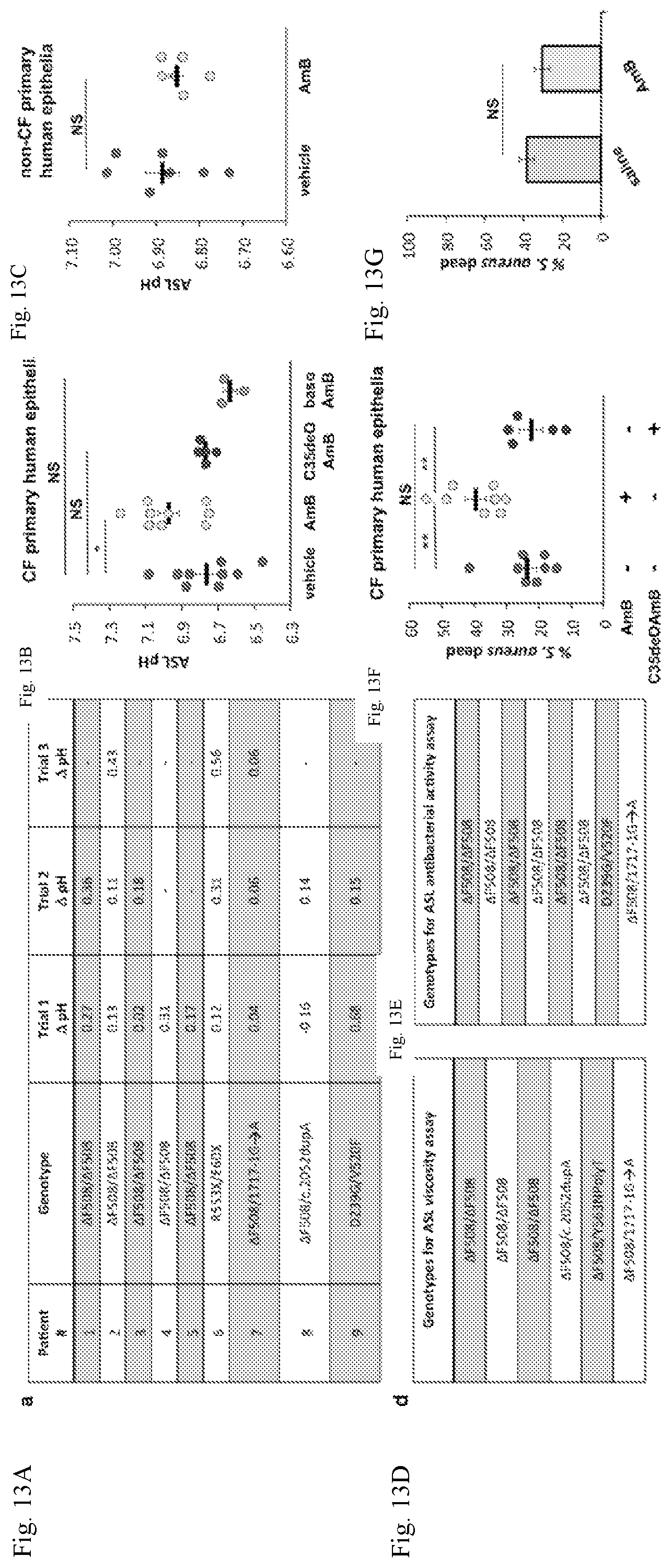 Patent US12090164 Figure 14 – Genotype-agnostic rescue of cystic fibrosis with small molecule bicarbonate channels