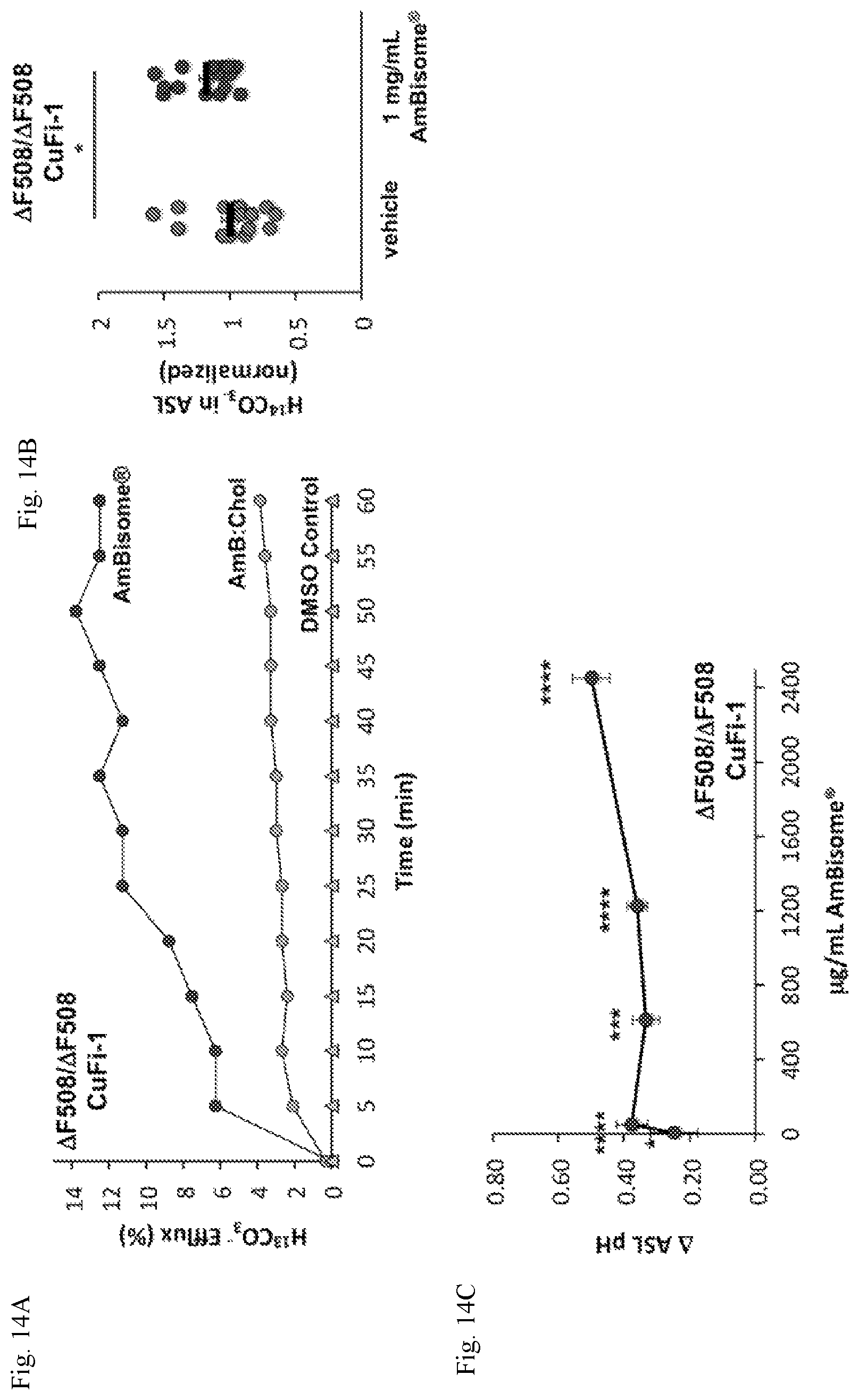 Patent US12090164 Figure 15 – Genotype-agnostic rescue of cystic fibrosis with small molecule bicarbonate channels