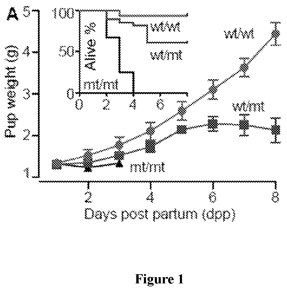 Patent US12090165 Figure 1 – Methods for reducing or shutting down lactation in non-human mammals and reagents therefor
