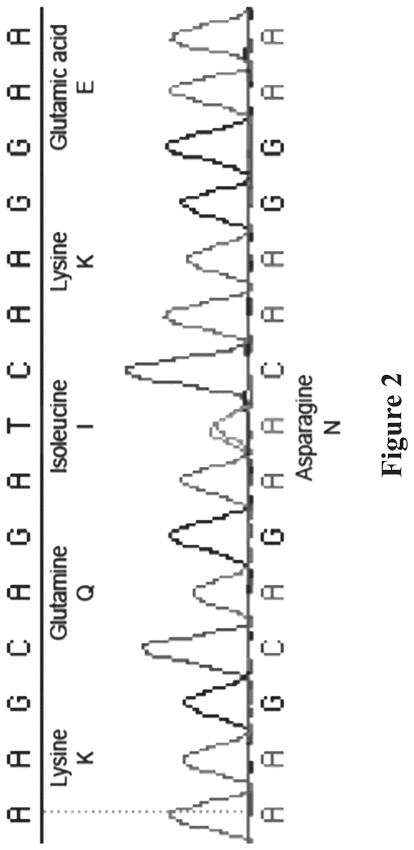 Patent US12090165 Figure 2 – Methods for reducing or shutting down lactation in non-human mammals and reagents therefor