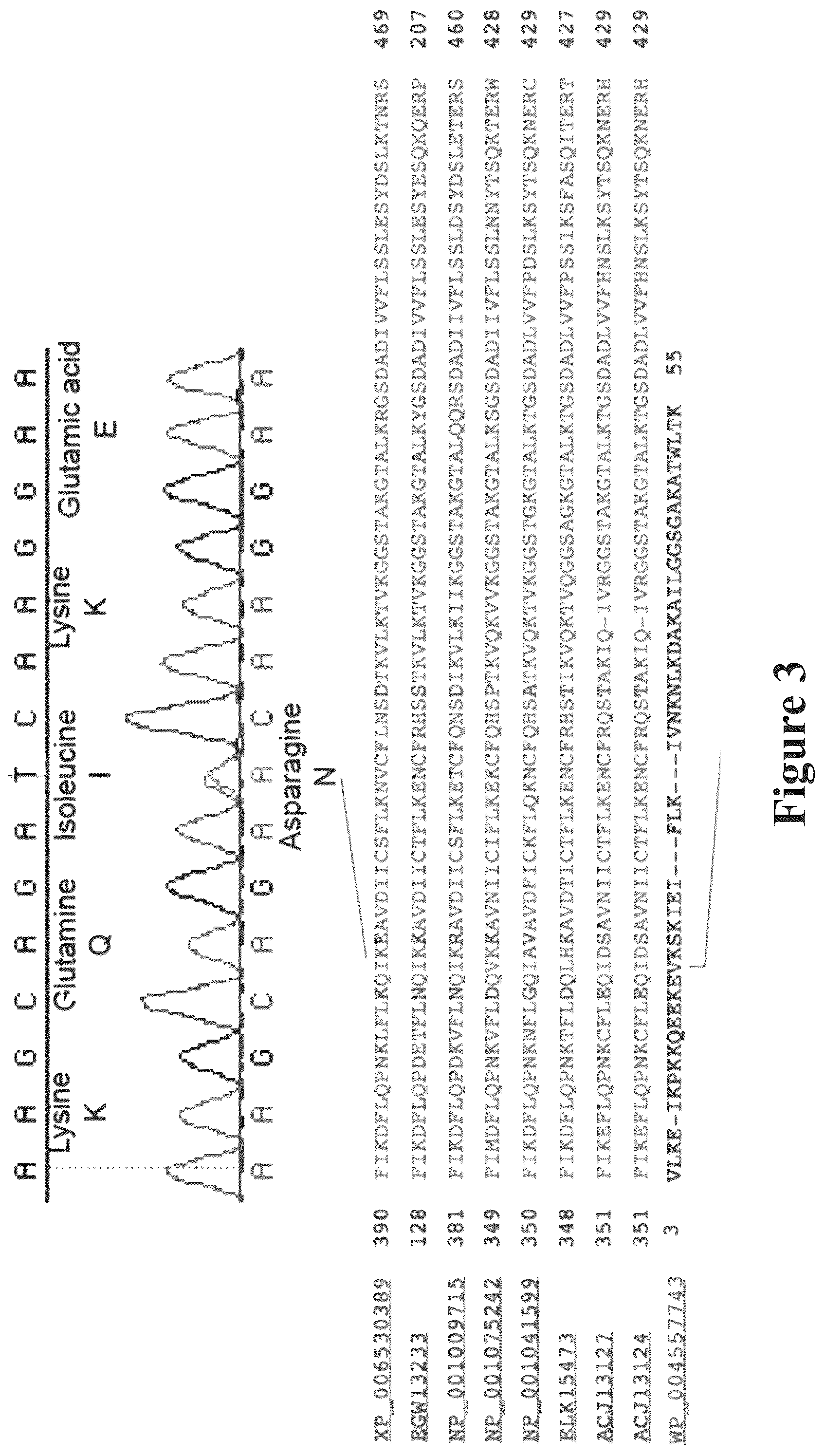 Patent US12090165 Figure 3 – Methods for reducing or shutting down lactation in non-human mammals and reagents therefor