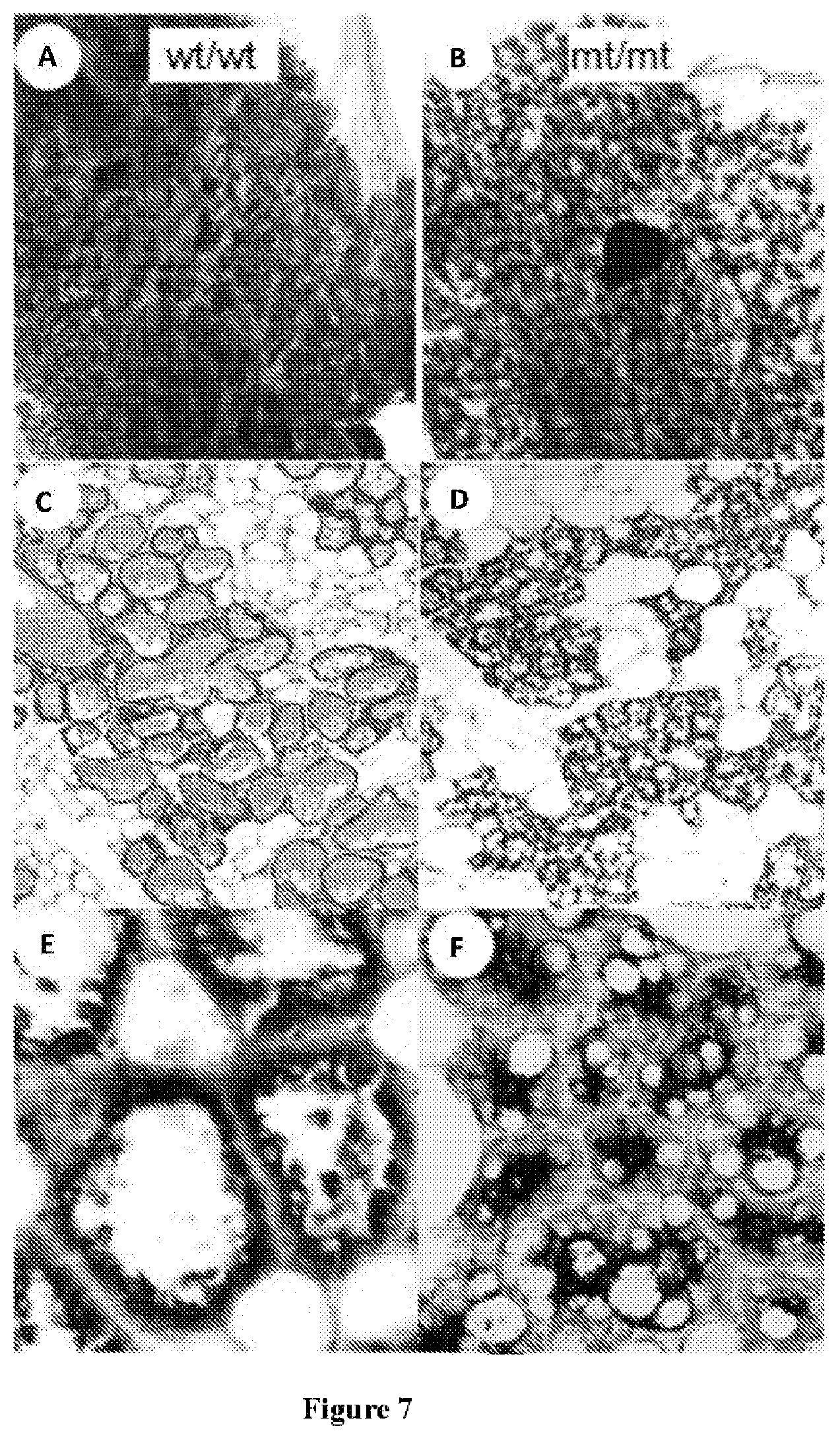 Patent US12090165 Figure 10 – Methods for reducing or shutting down lactation in non-human mammals and reagents therefor