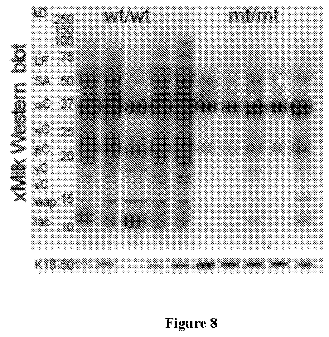 Patent US12090165 Figure 11 – Methods for reducing or shutting down lactation in non-human mammals and reagents therefor