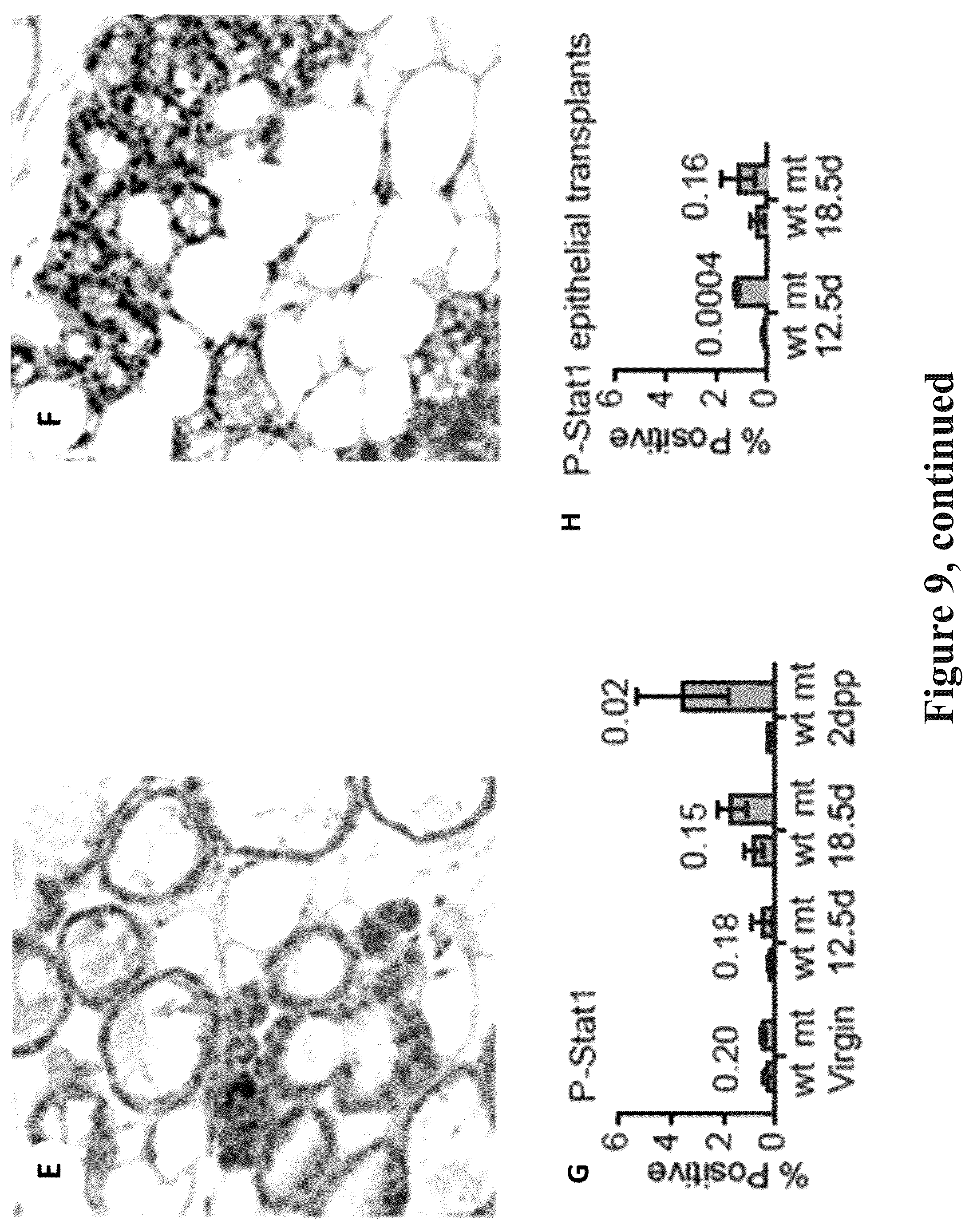 Patent US12090165 Figure 13 – Methods for reducing or shutting down lactation in non-human mammals and reagents therefor