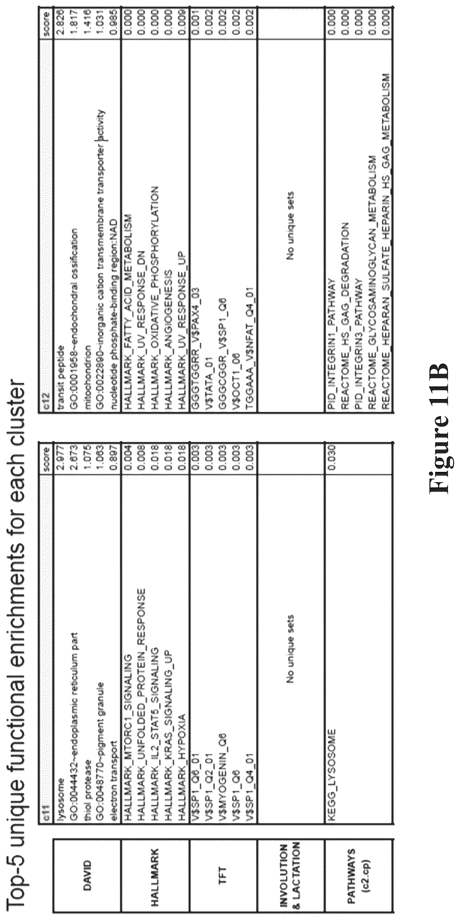 Patent US12090165 Figure 17 – Methods for reducing or shutting down lactation in non-human mammals and reagents therefor
