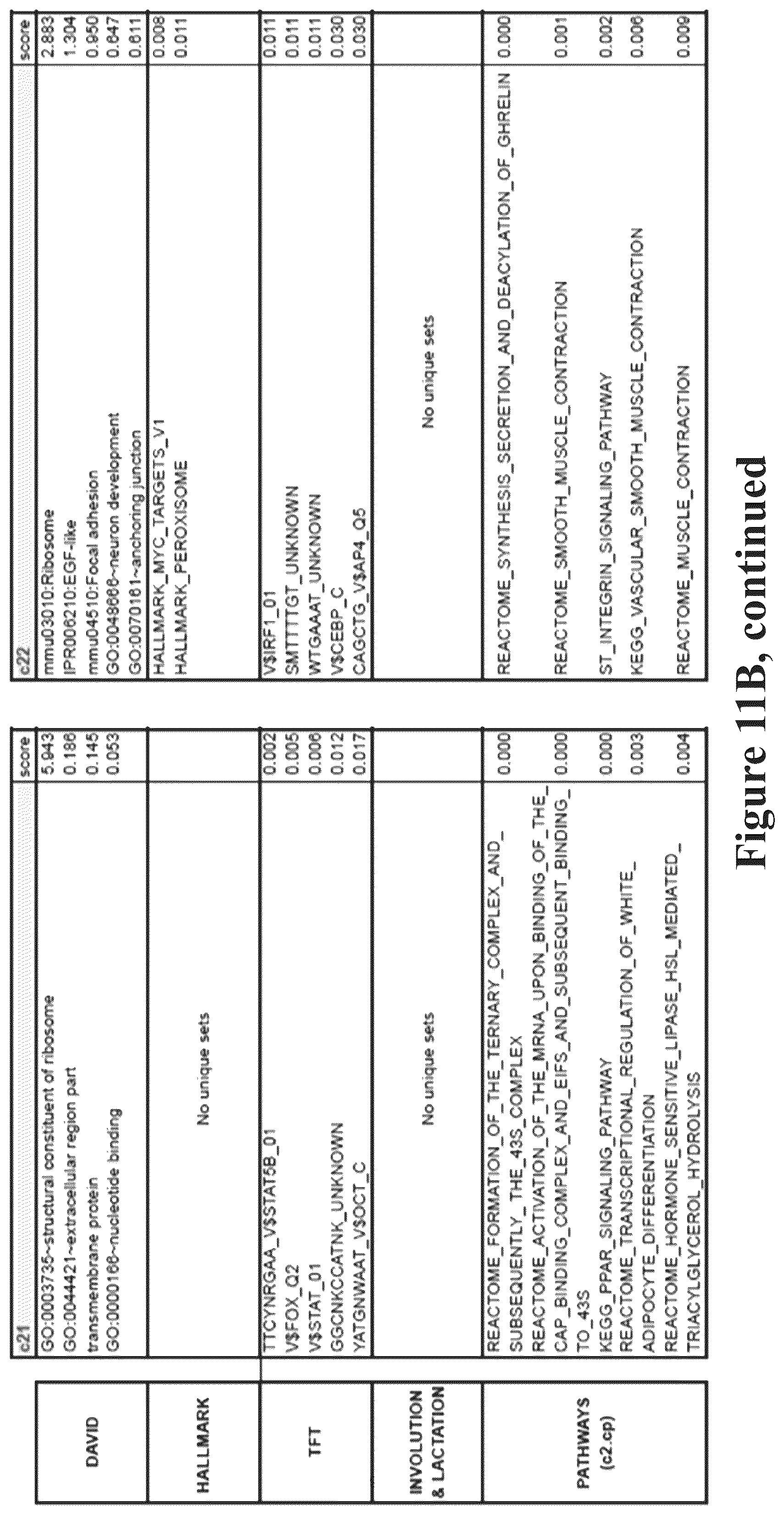 Patent US12090165 Figure 18 – Methods for reducing or shutting down lactation in non-human mammals and reagents therefor