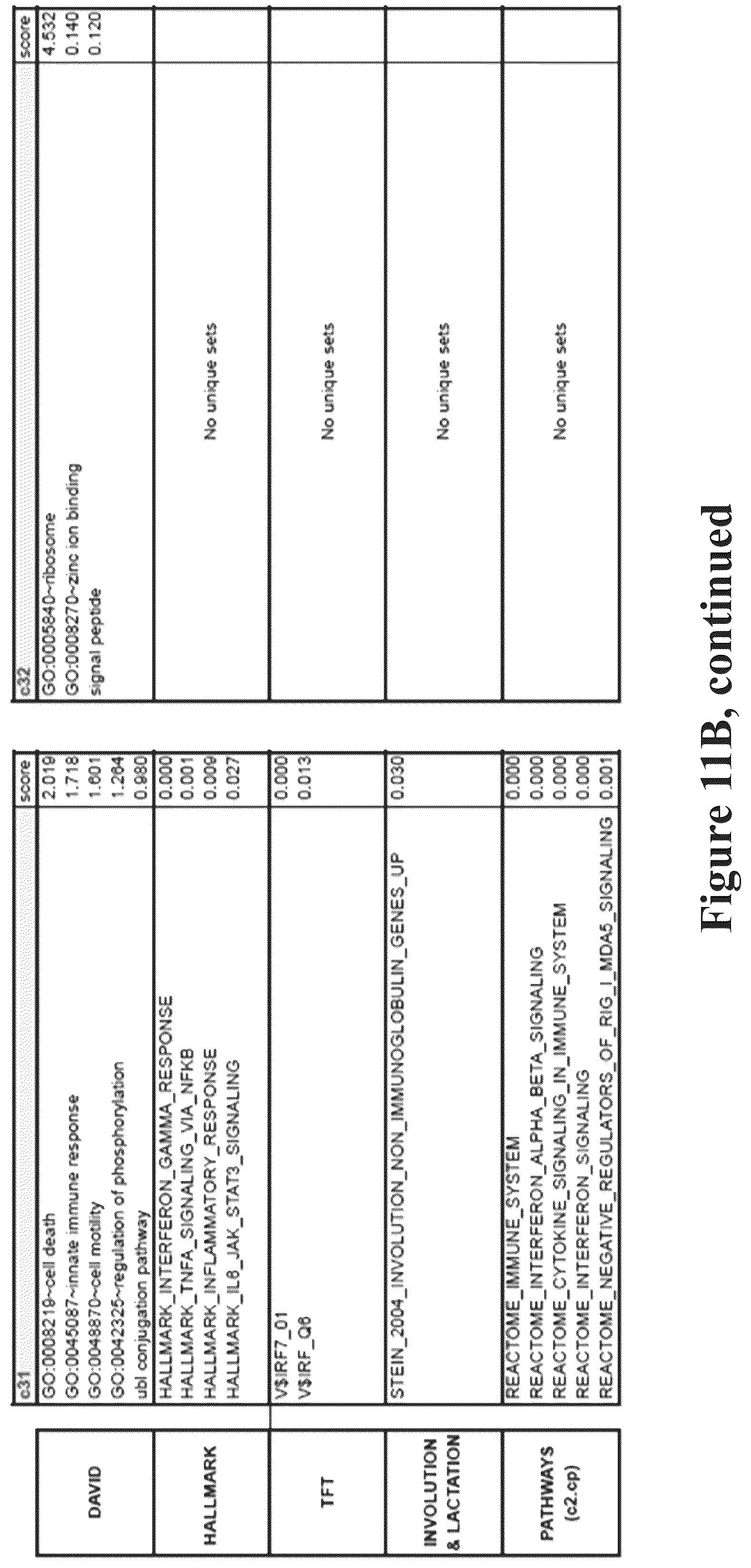 Patent US12090165 Figure 19 – Methods for reducing or shutting down lactation in non-human mammals and reagents therefor