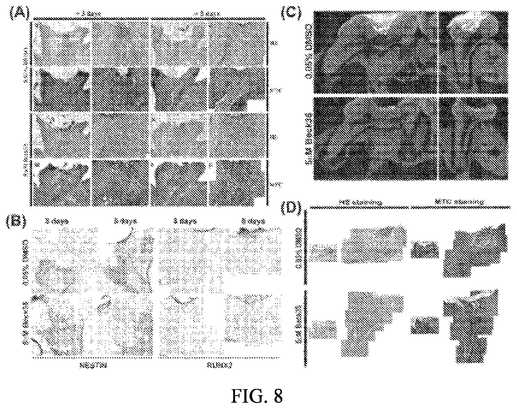 Patent US12090166 Figure 8 – Pharmaceutical composition for preventing or treating dentin-dental pulp disease or periodontal disease, containing LPAR2 inhibitor