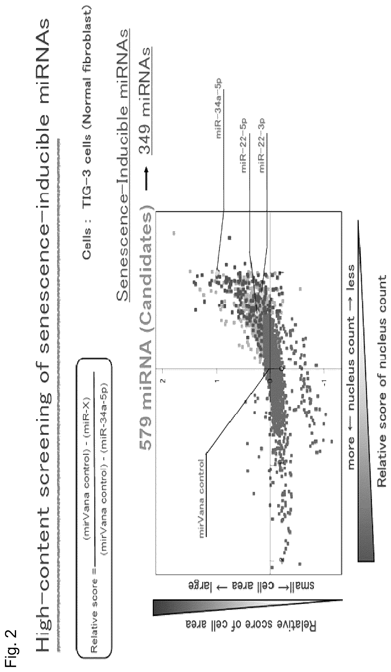Patent US12090167 Figure 2 – Therapeutic pharmaceutical composition for cancer including miRNA