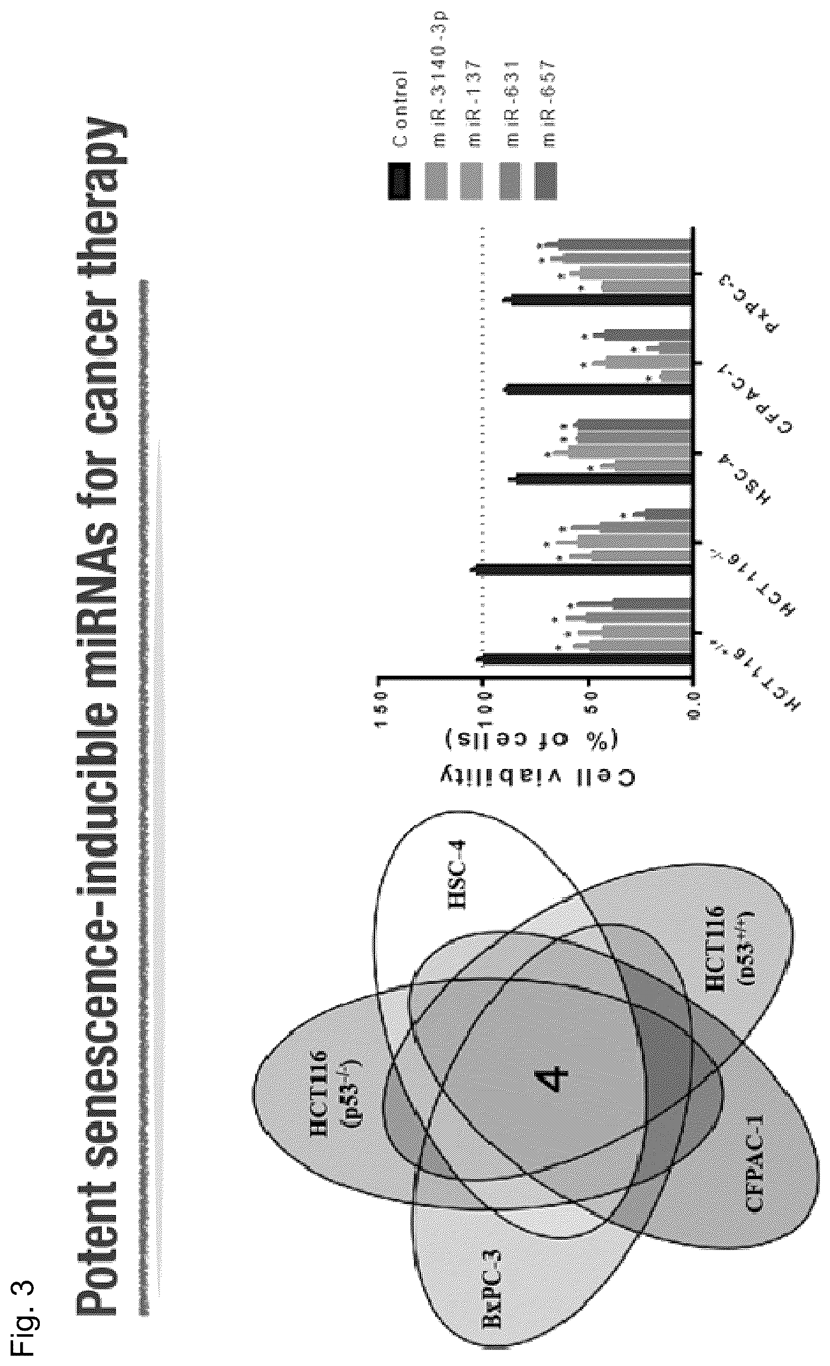 Patent US12090167 Figure 3 – Therapeutic pharmaceutical composition for cancer including miRNA