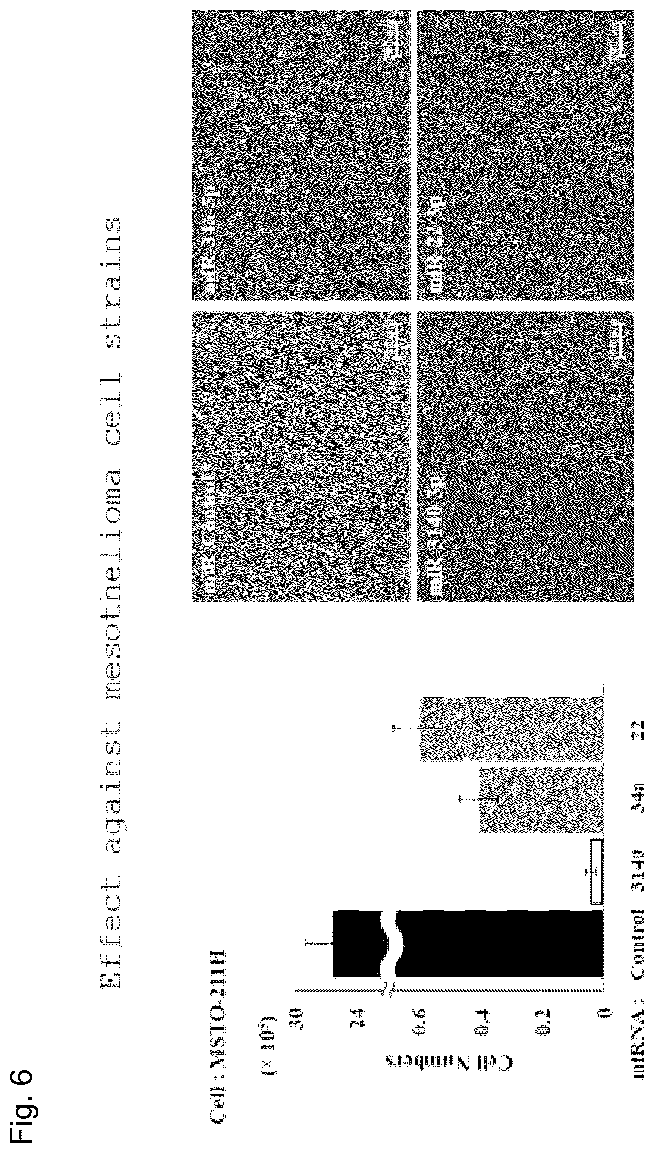 Patent US12090167 Figure 6 – Therapeutic pharmaceutical composition for cancer including miRNA