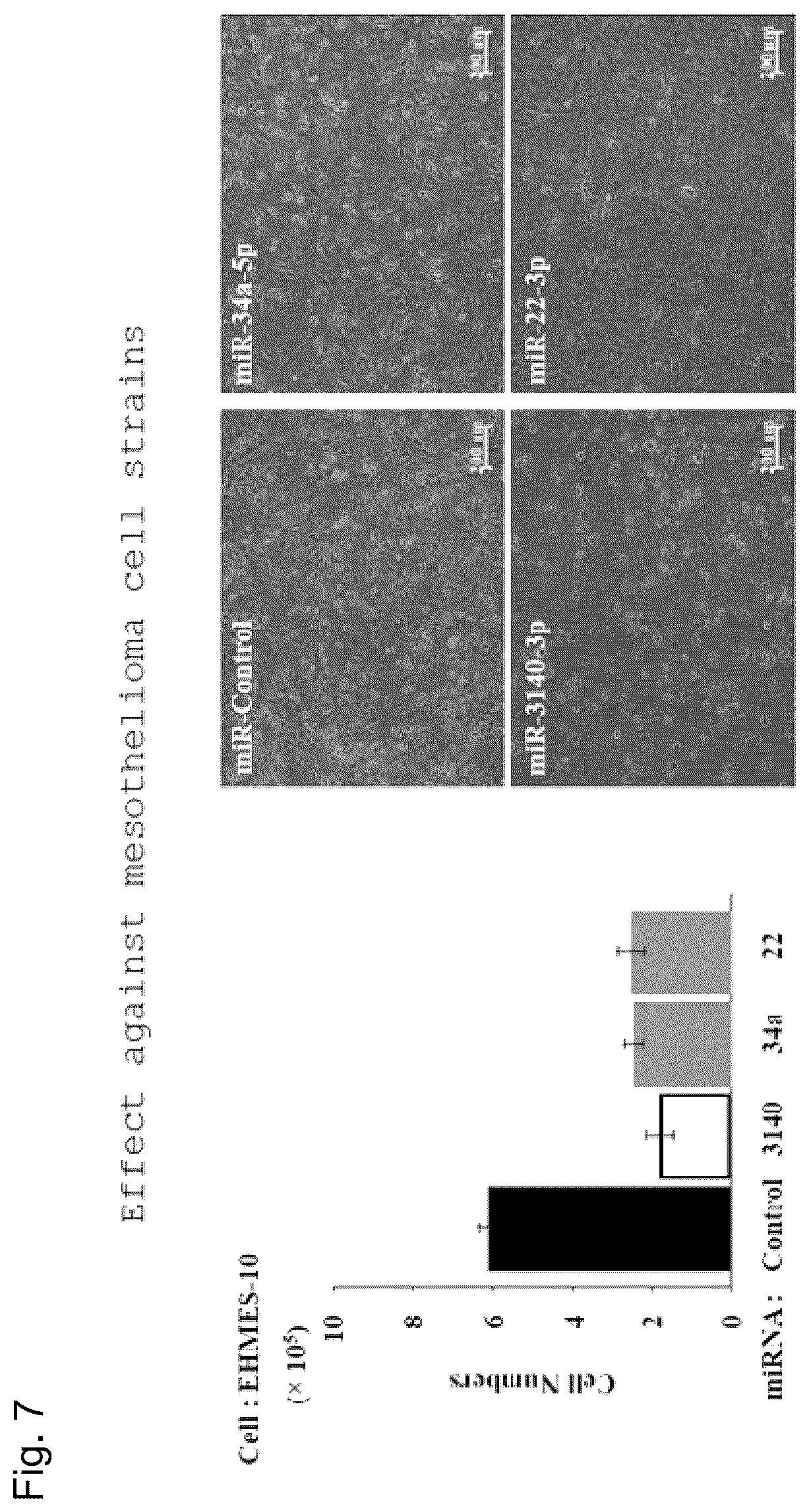 Patent US12090167 Figure 7 – Therapeutic pharmaceutical composition for cancer including miRNA