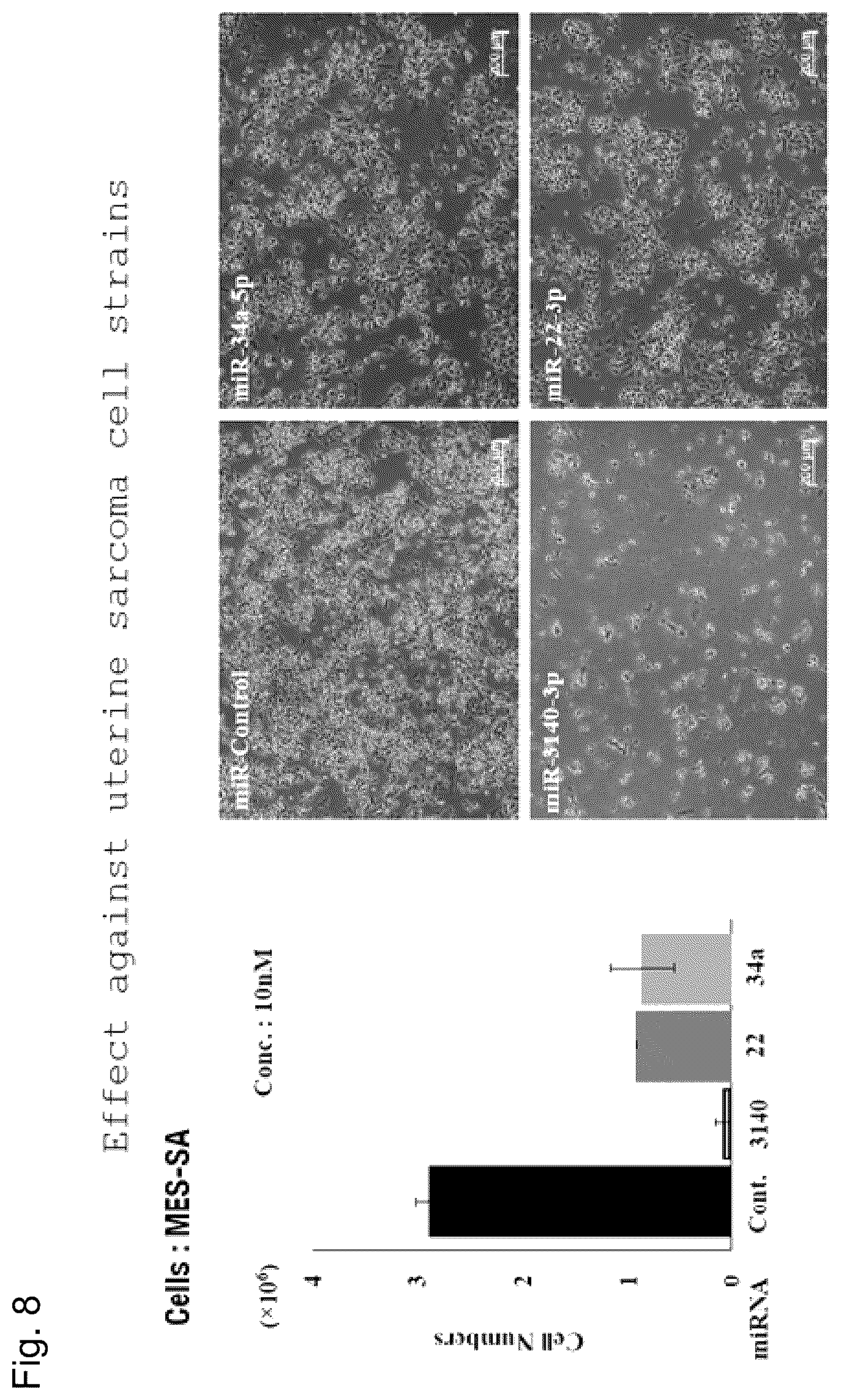Patent US12090167 Figure 8 – Therapeutic pharmaceutical composition for cancer including miRNA